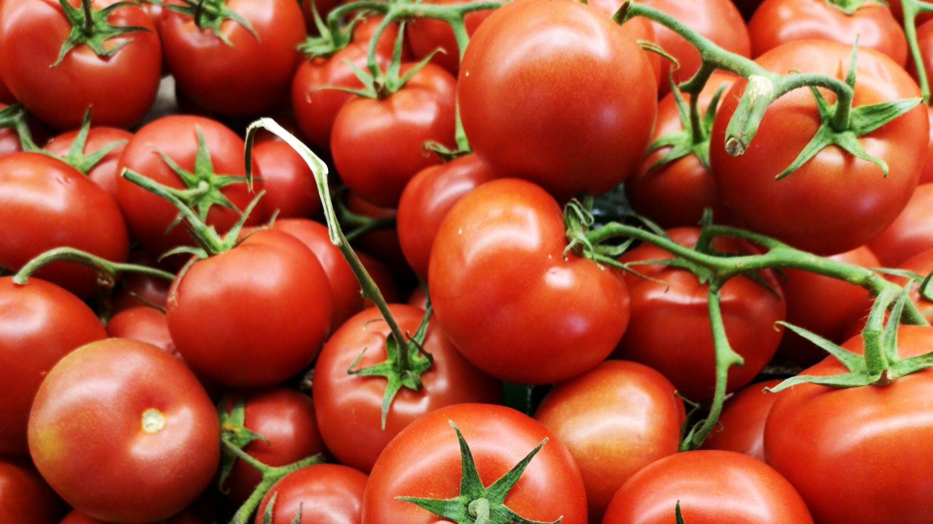 10. Tomates