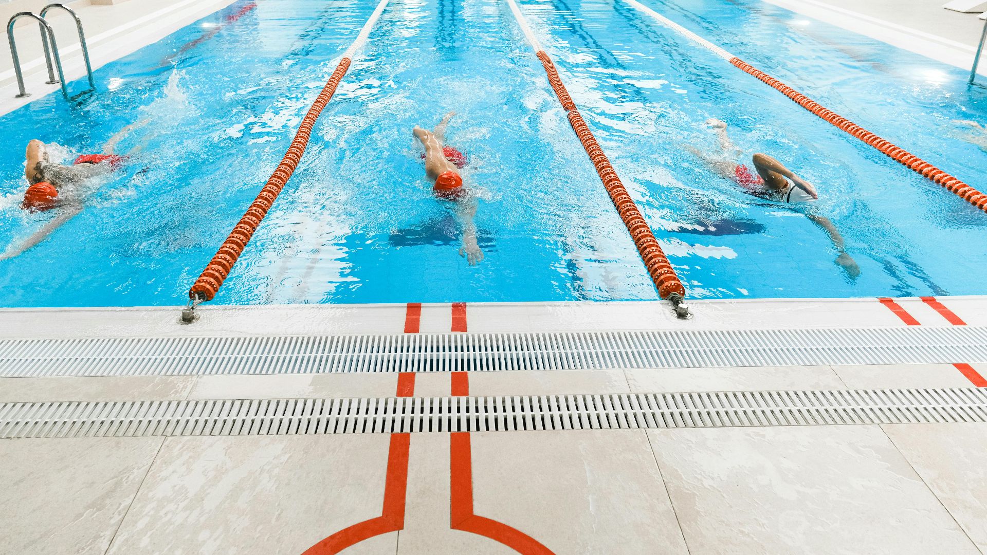 1. Tours de natation