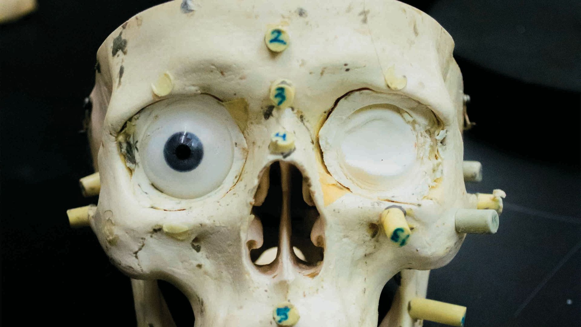 1. Une pratique ancienne