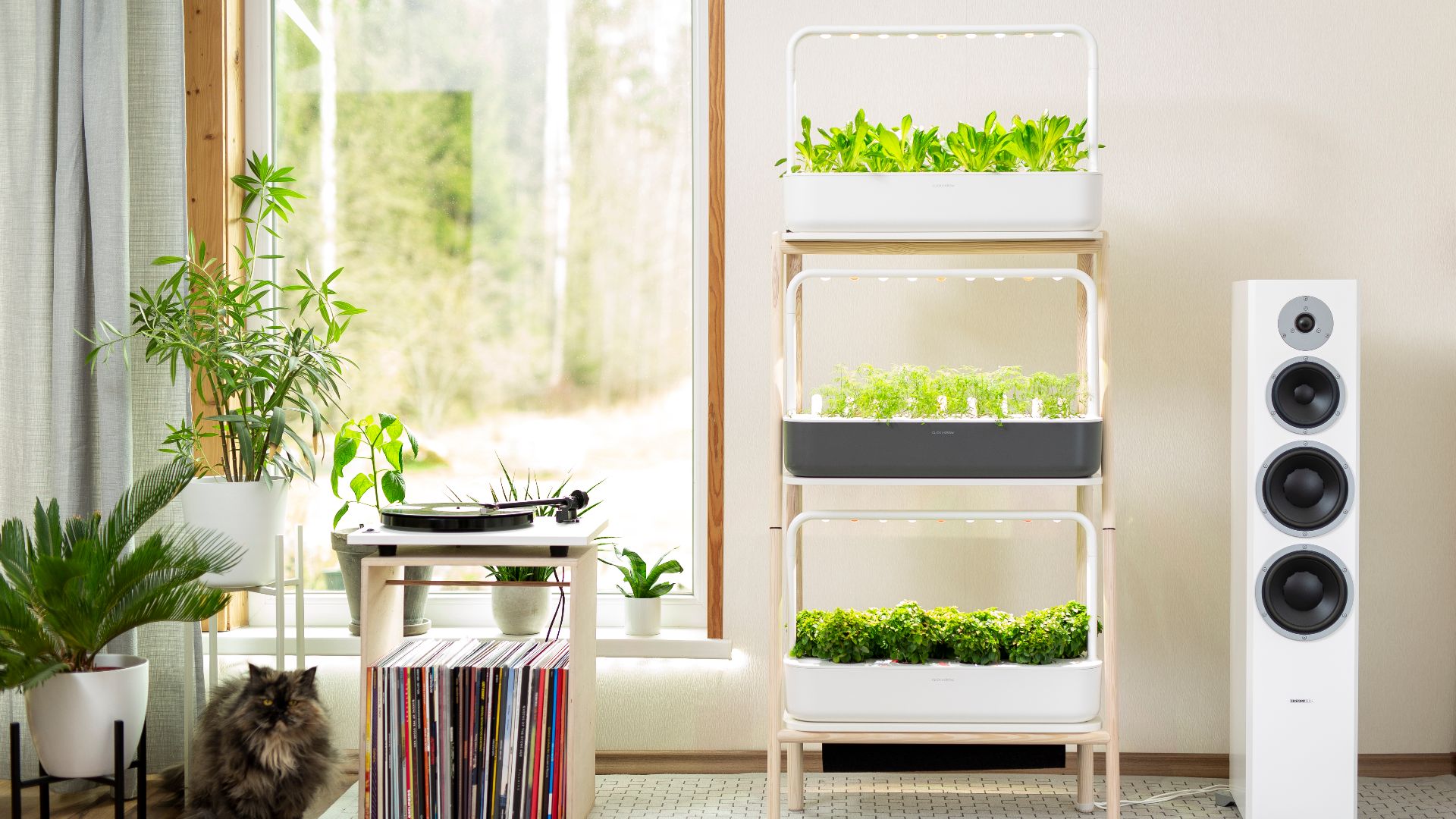 5. Jardins intelligents auto-arrosés