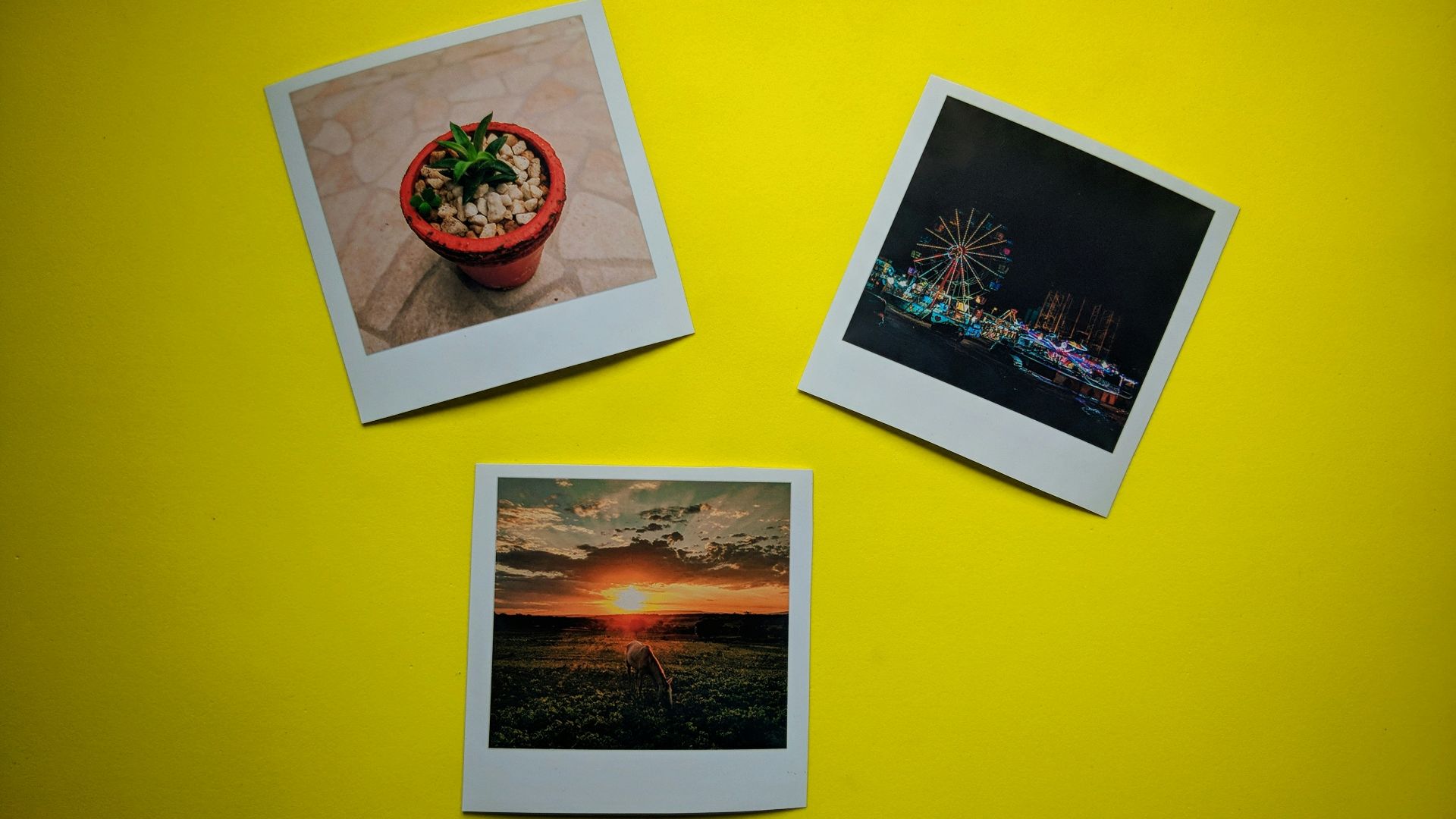 17. Machine à cadre pour Flipbook