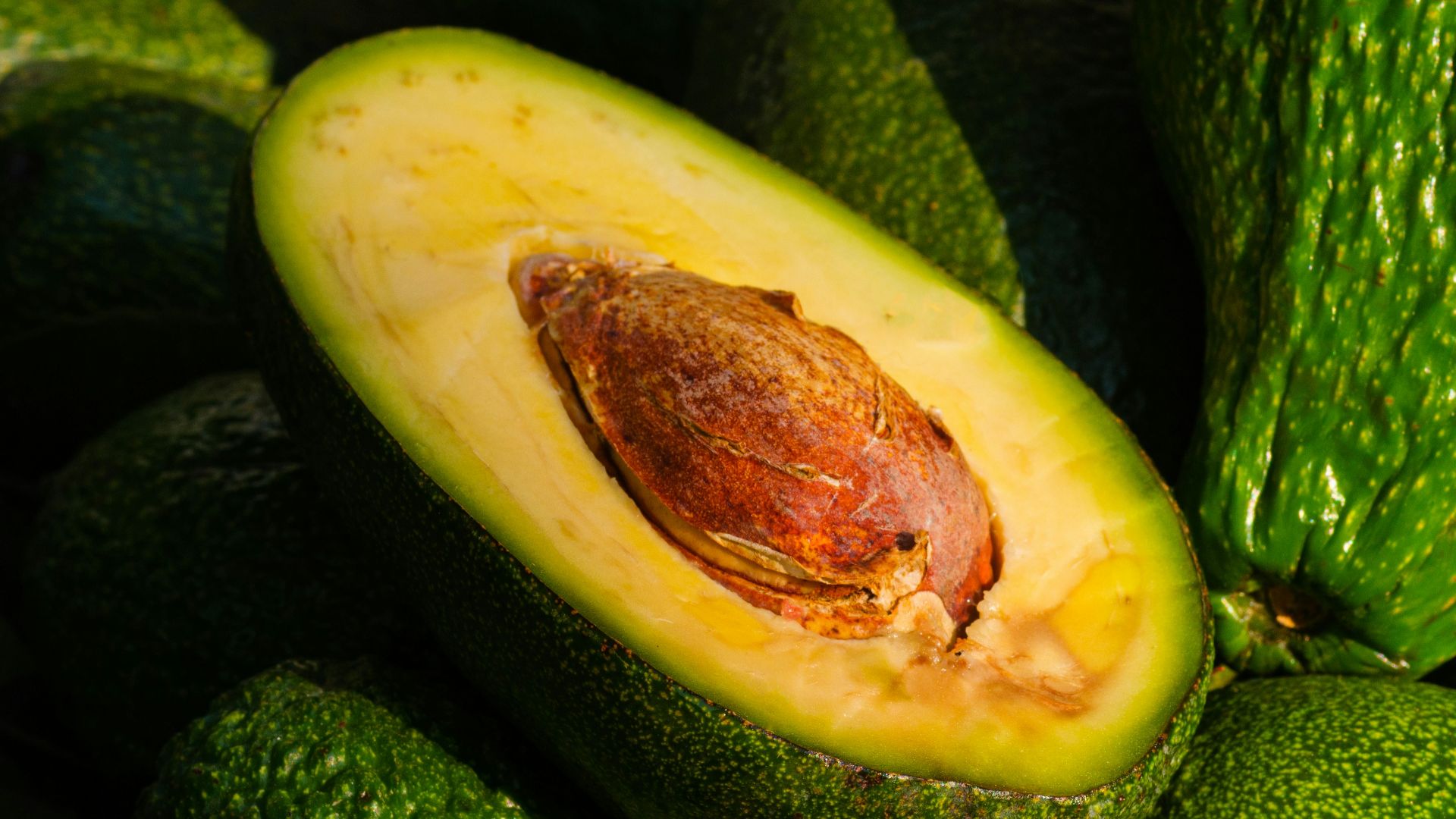 8. Avocat