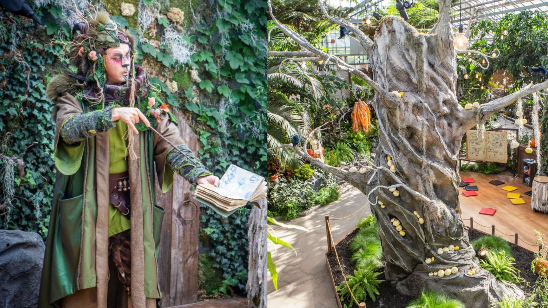 Des frissons d’Halloween tout le mois d’octobre au Jardin botanique