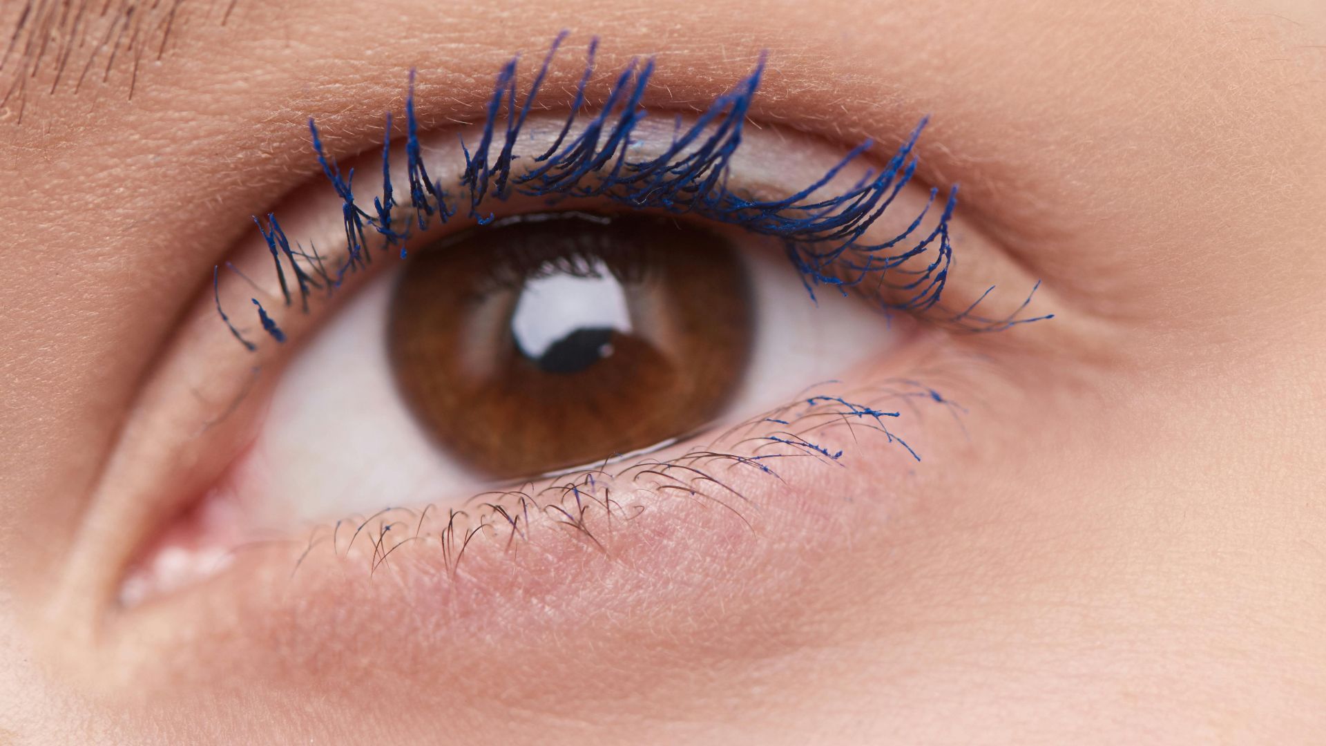 5. "Technique du "maillage