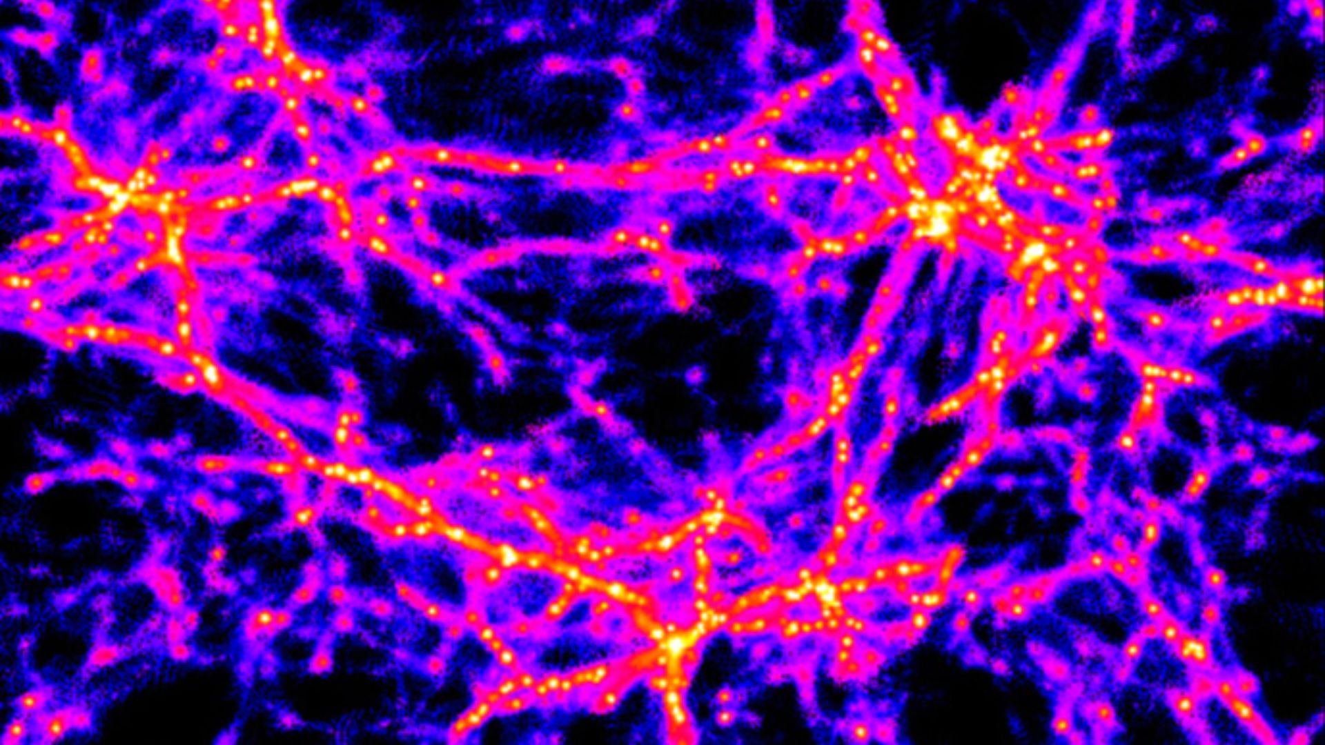 3. Univers simulé