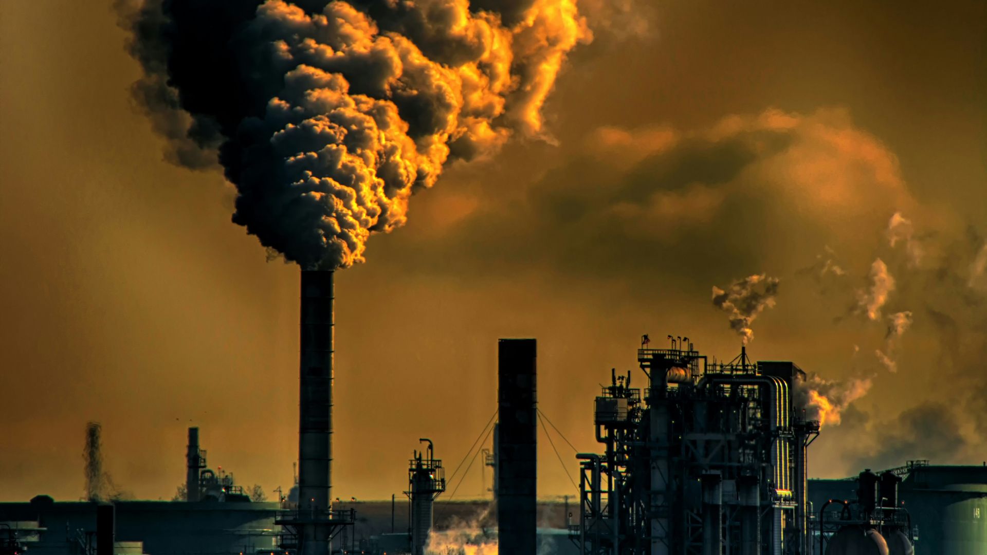 1. Pollution atmosphérique et problèmes respiratoires