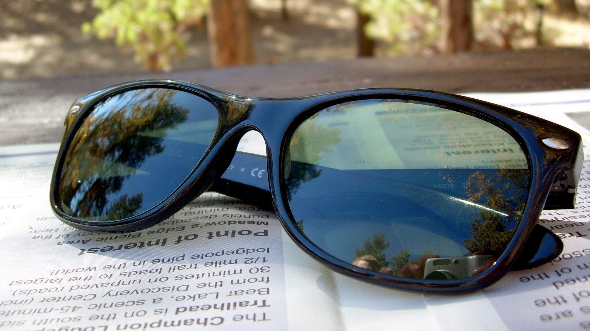 2. Montures Wayfarer audacieuses