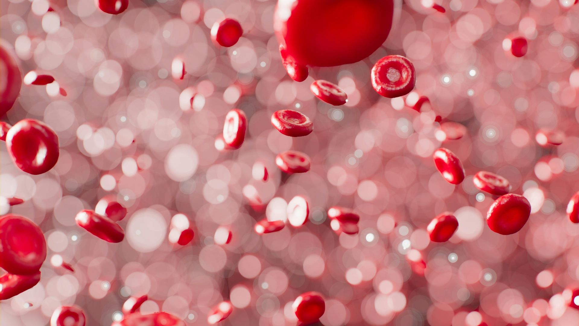 3. Circulation sanguine