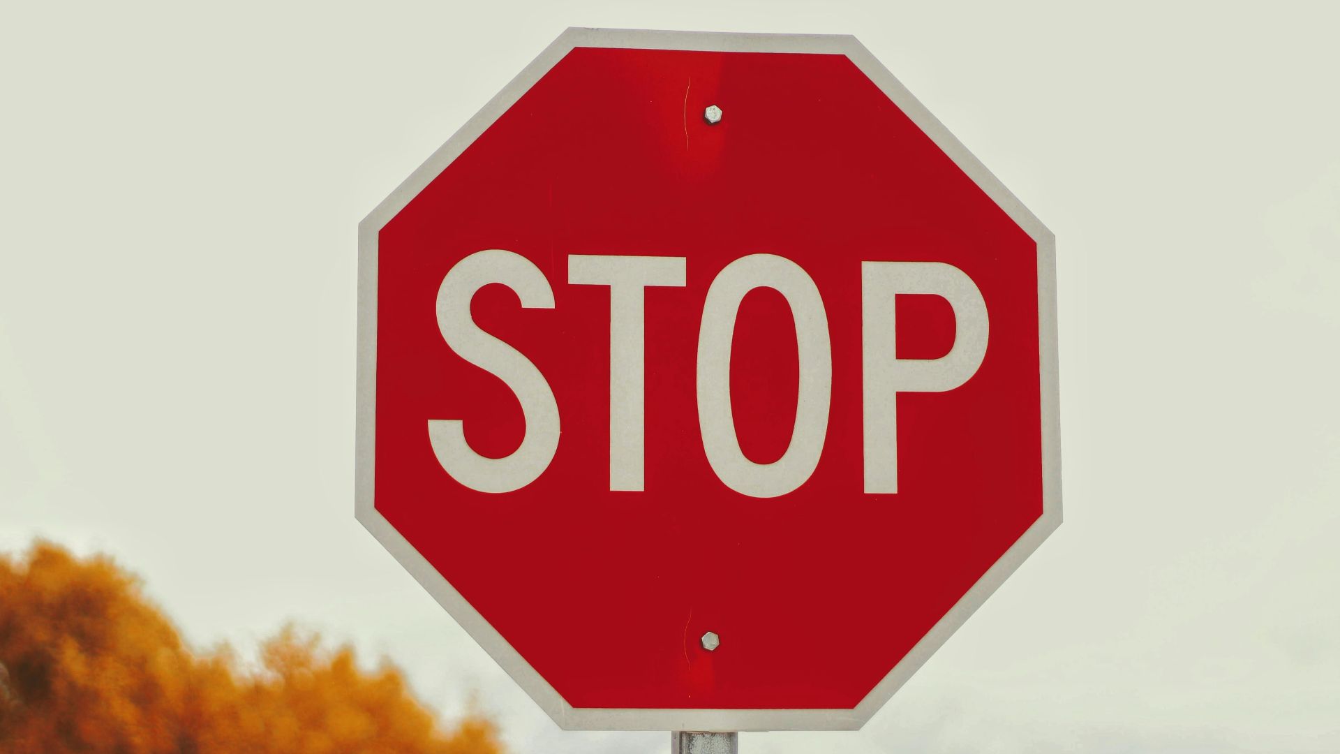 14. Vous ignorez les panneaux de signalisation