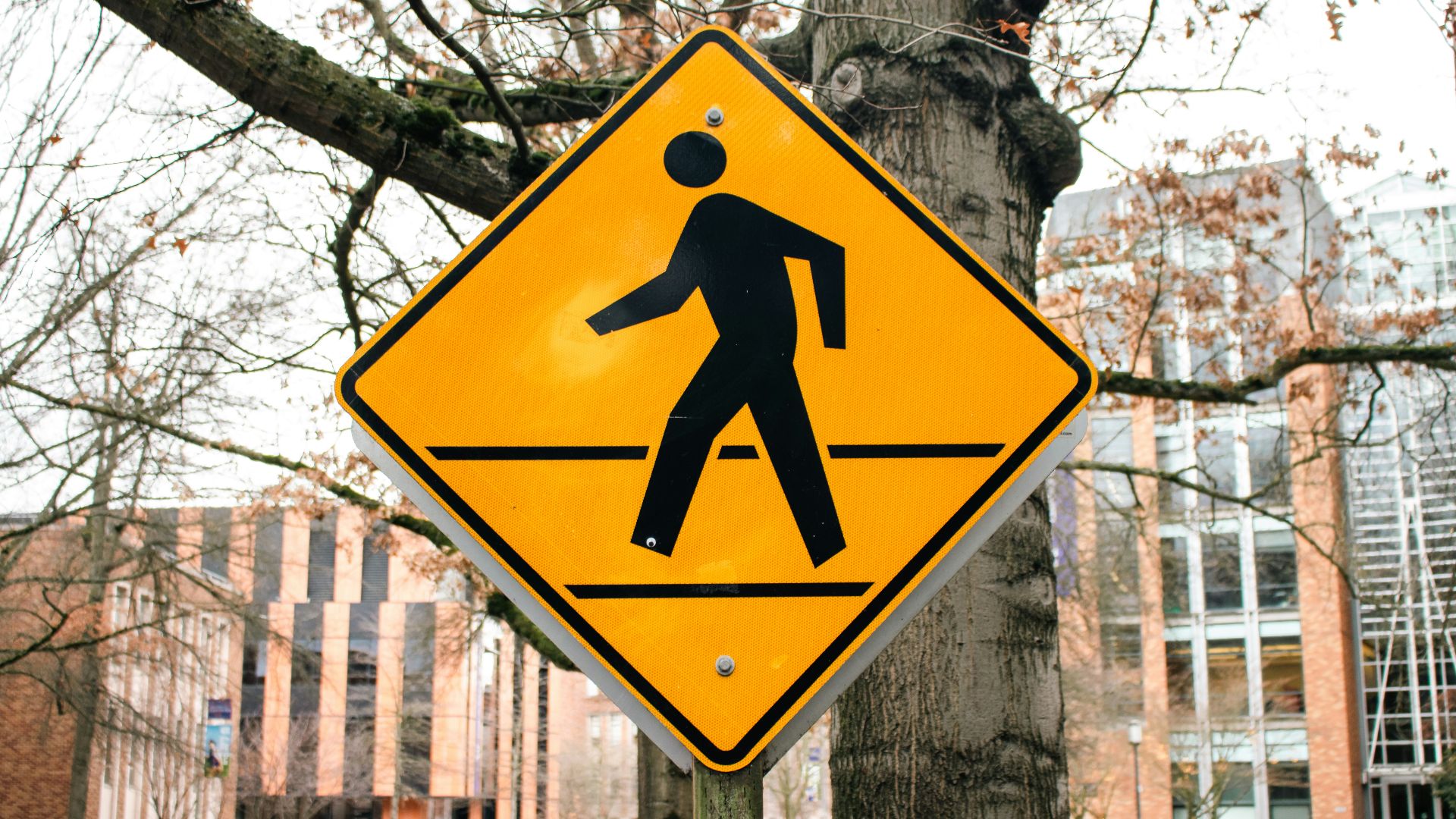 15. Vous pensez que les piétons feront attention à vous