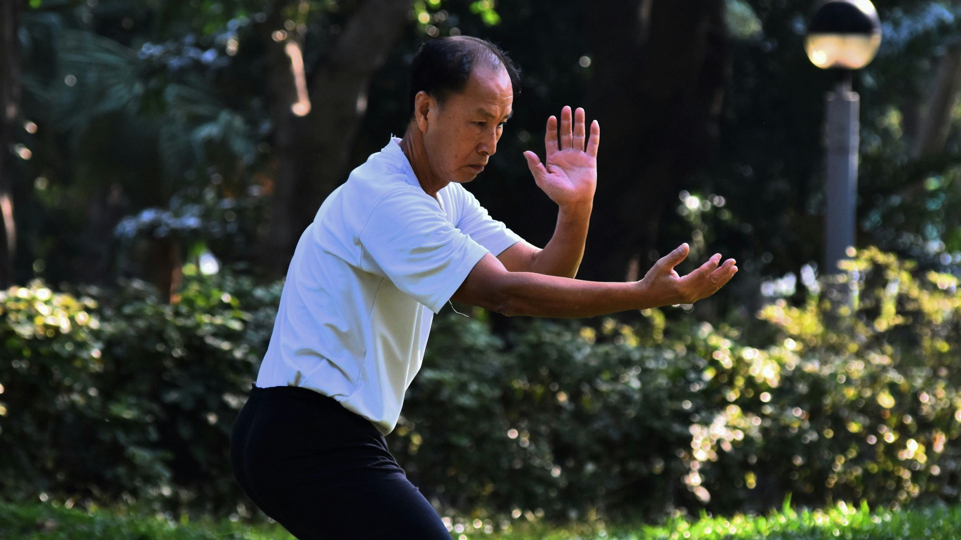 1. Tai Chi