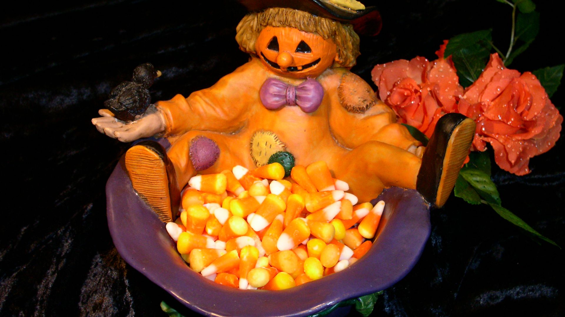 1. Maïs en bonbons