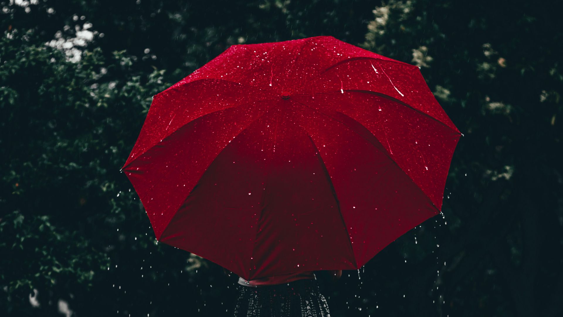 6. Parapluie