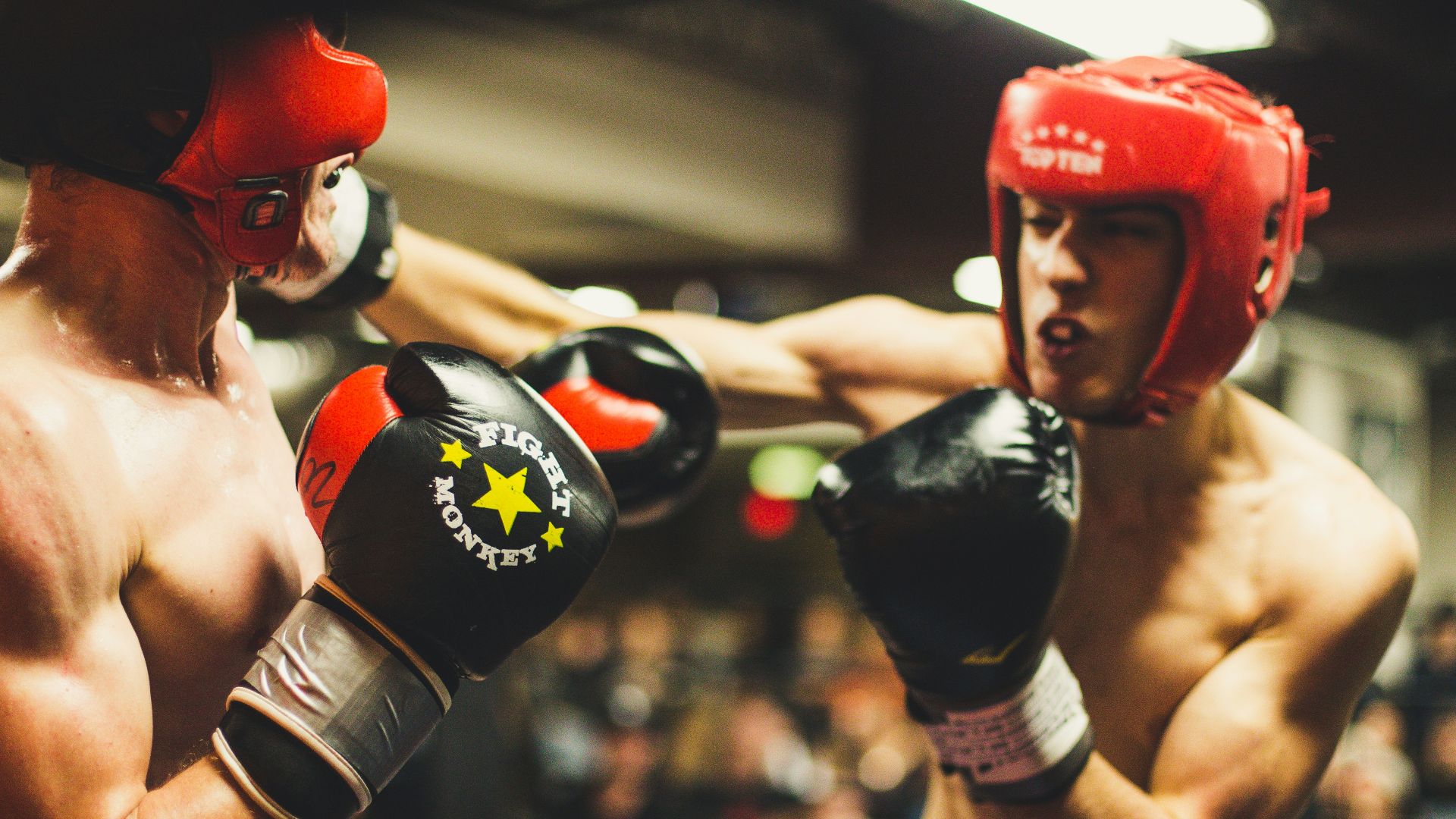 12. Circuits d'endurance du boxeur