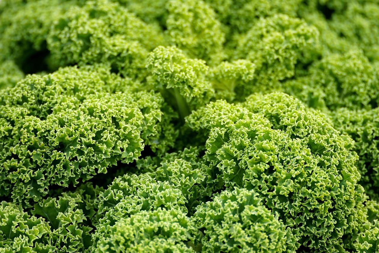 1. Légumes verts à feuilles