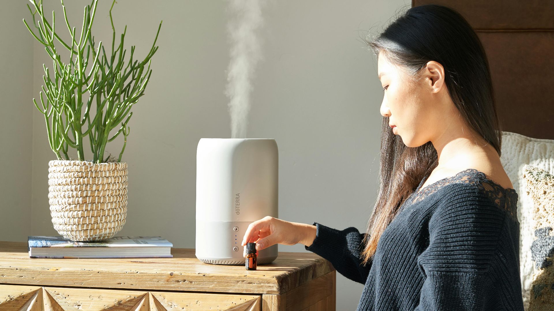12. Utiliser un humidificateur pendant les mois secs