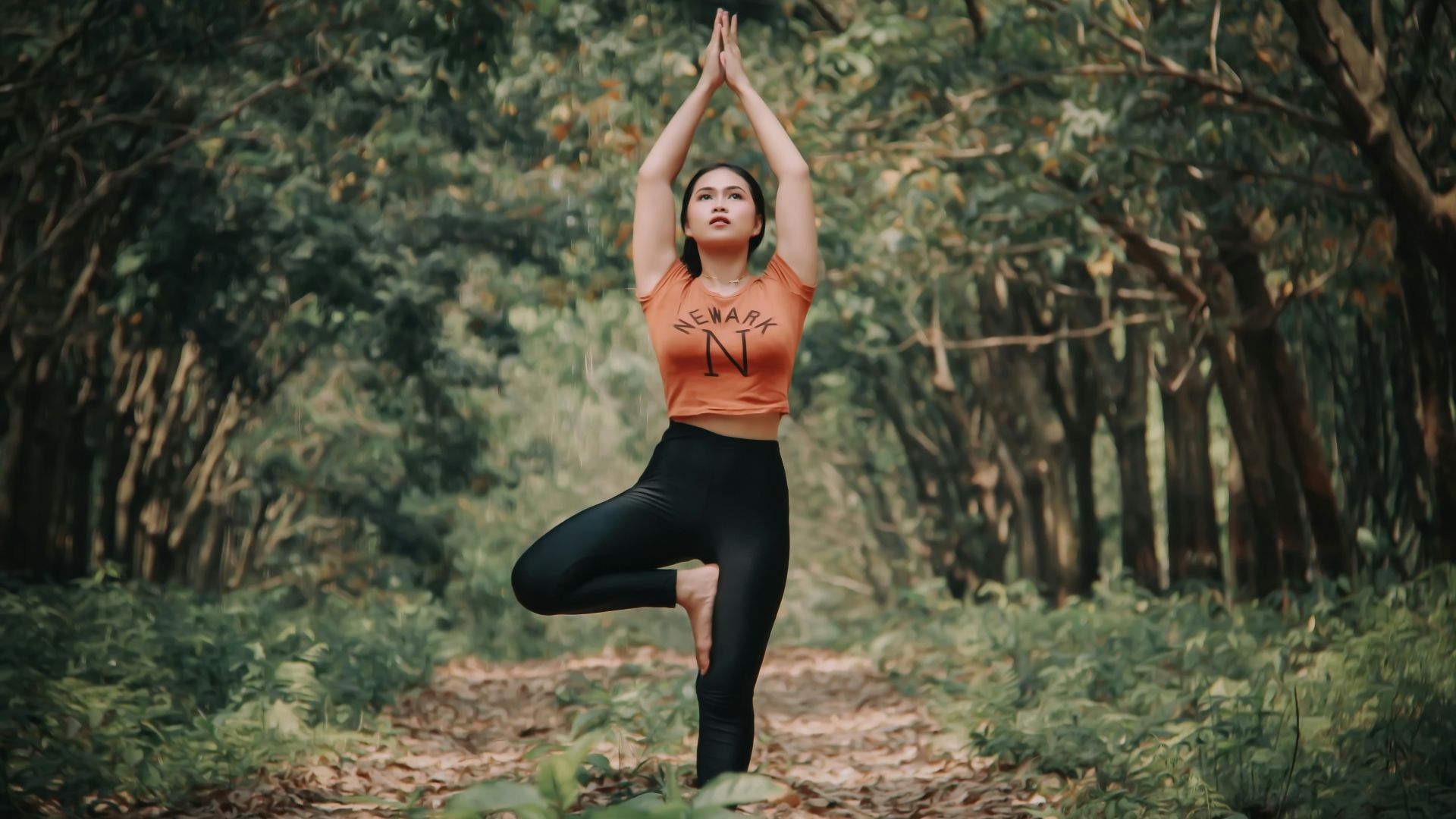 8. Pose de l'arbre