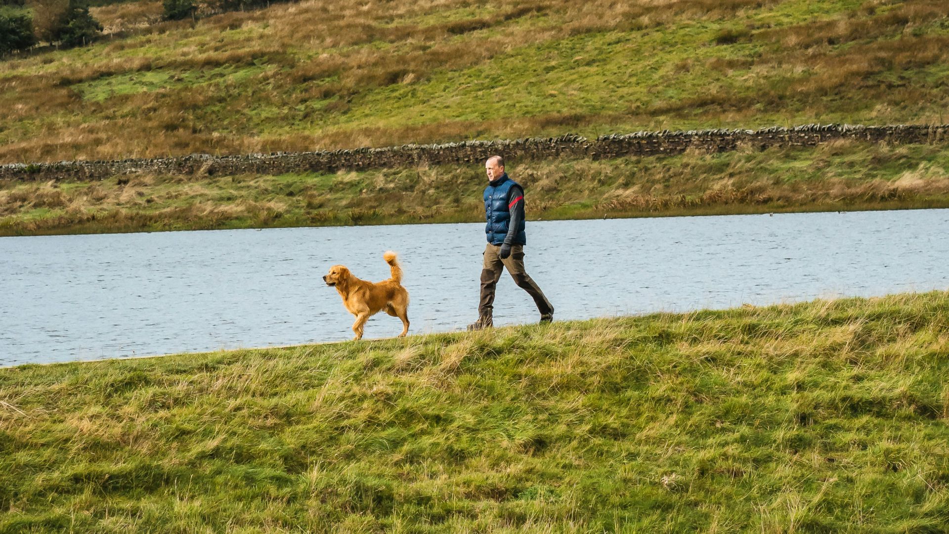 5. Laisser son chiot en liberté