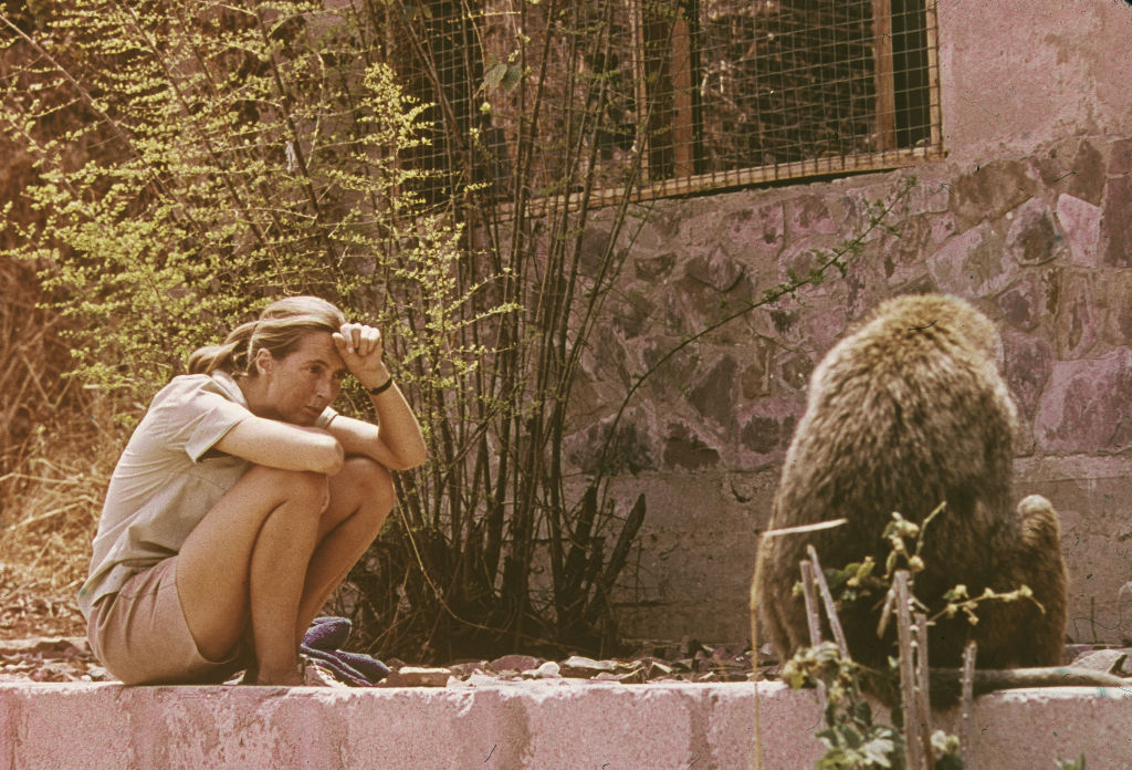 Les paroles posthumes de Jane Goodall