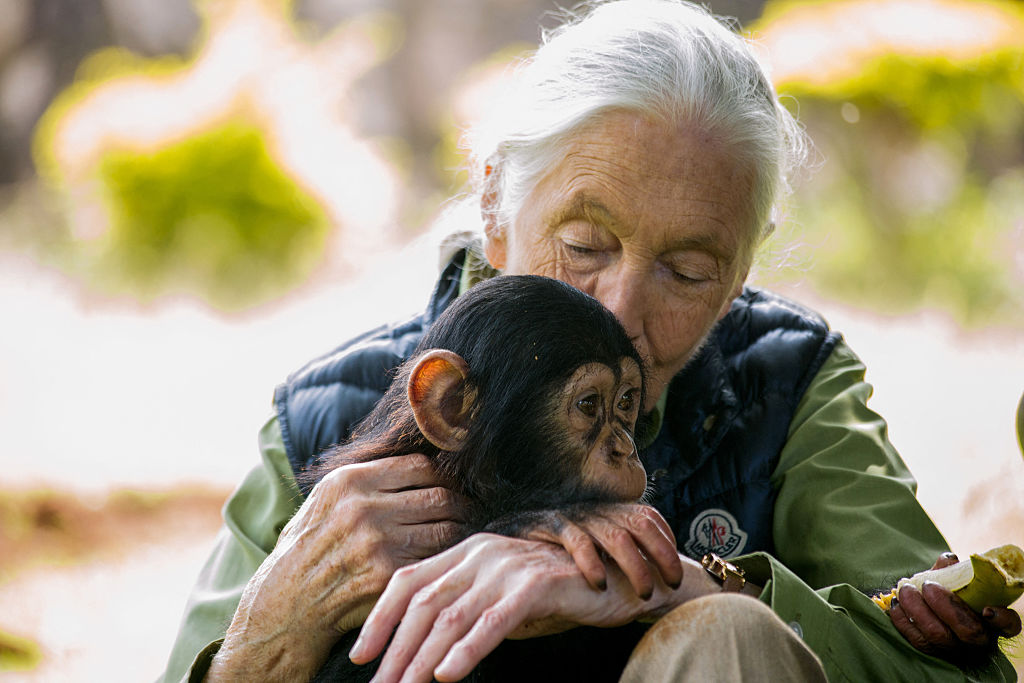 Politisation du comportement animal