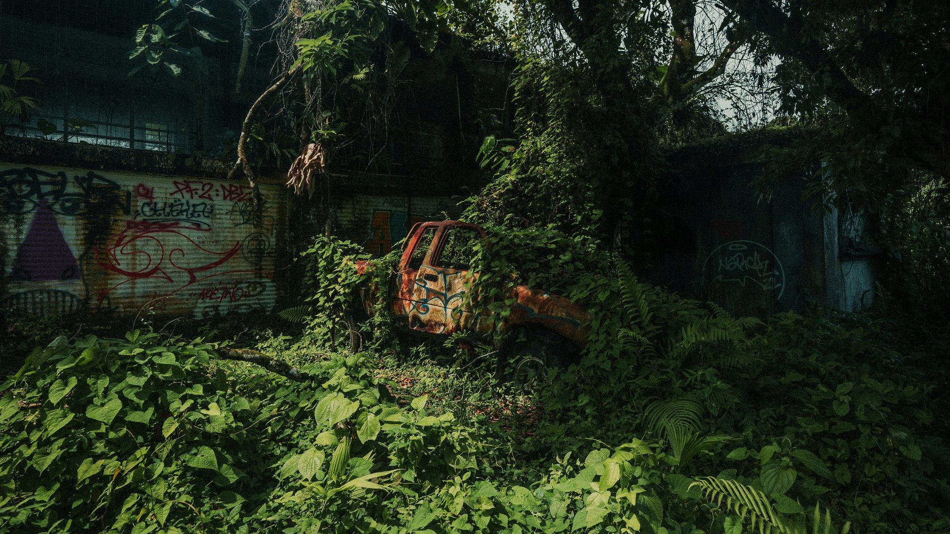1. The Last of Us