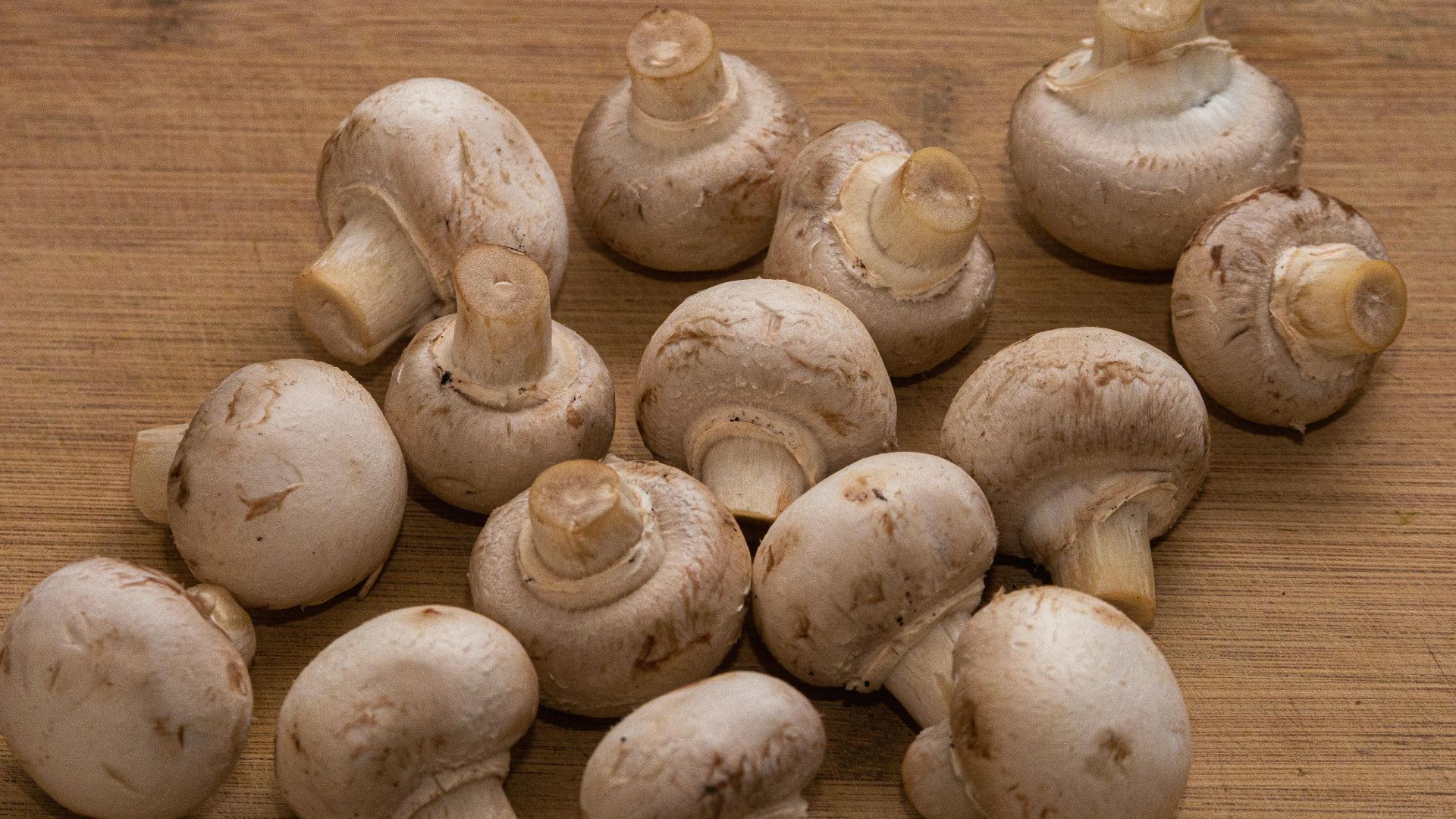 20. Champignons