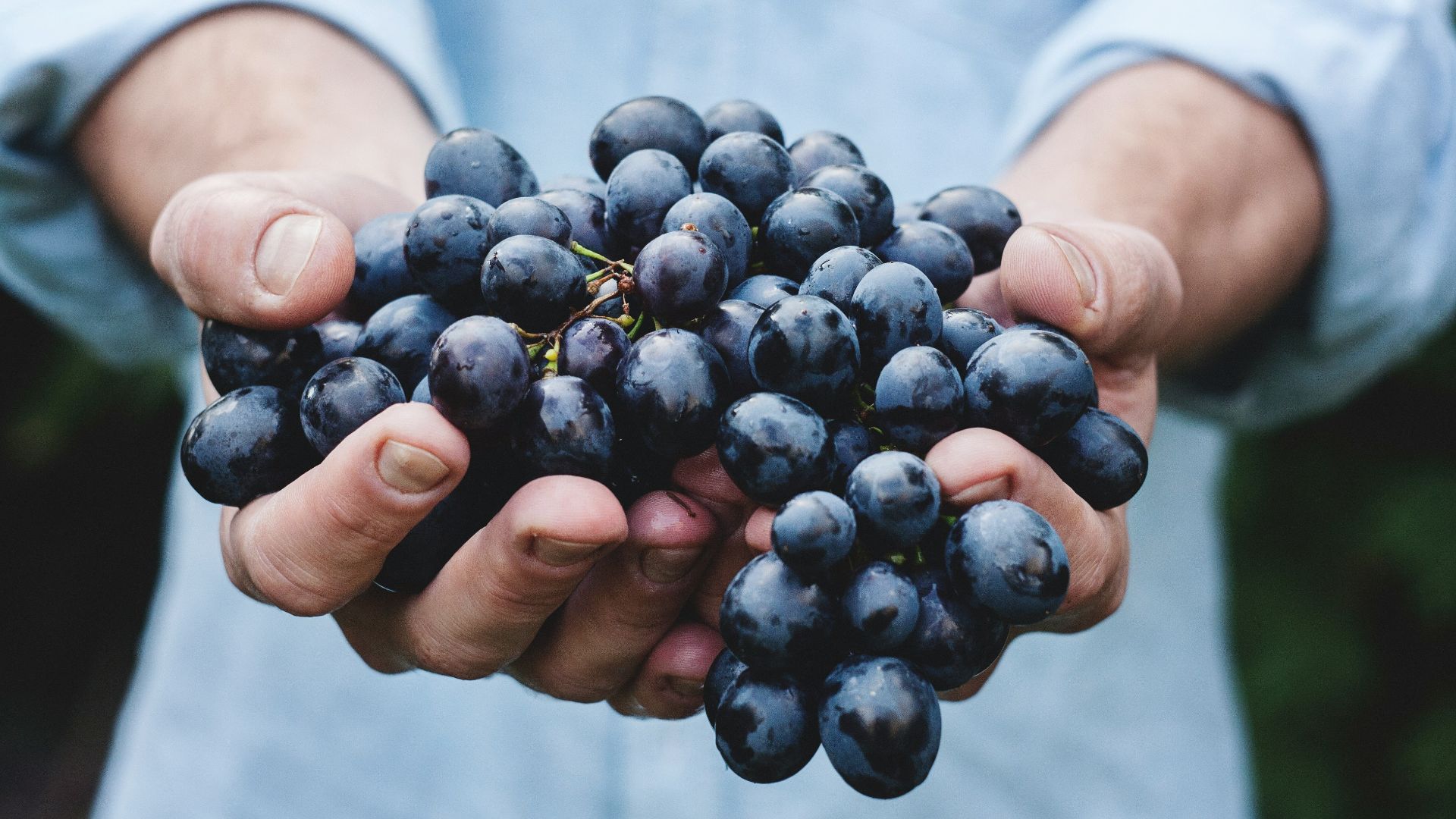 10 aliments qui valent la peine d’être bio et 10 que vous pouvez laisser tomber