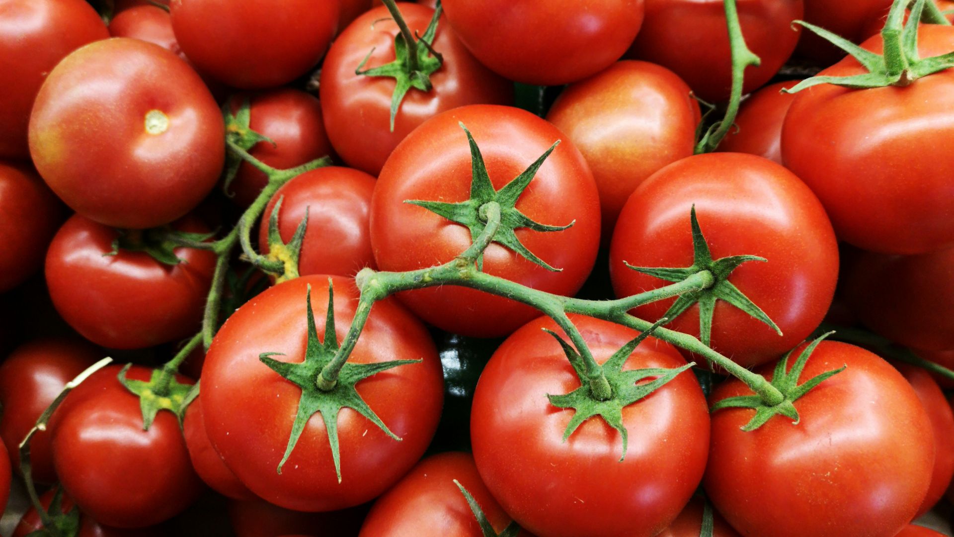 6. Tomates