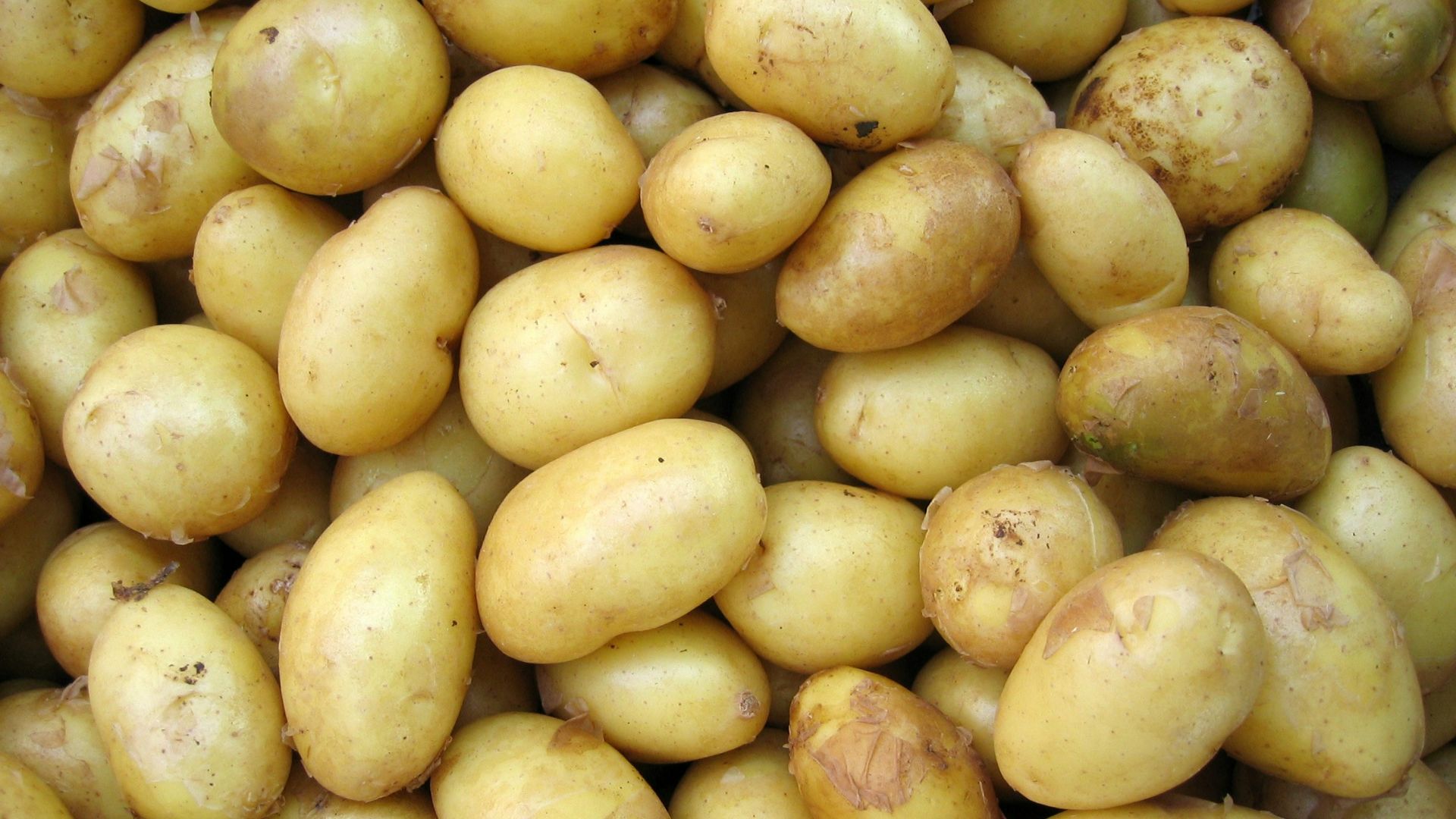 8. Pommes de terre