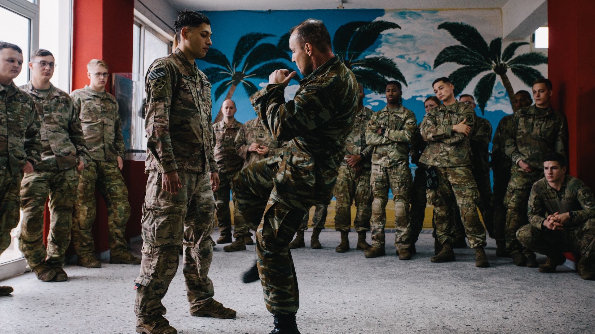 15. Les Forces de défense israéliennes - Krav Maga