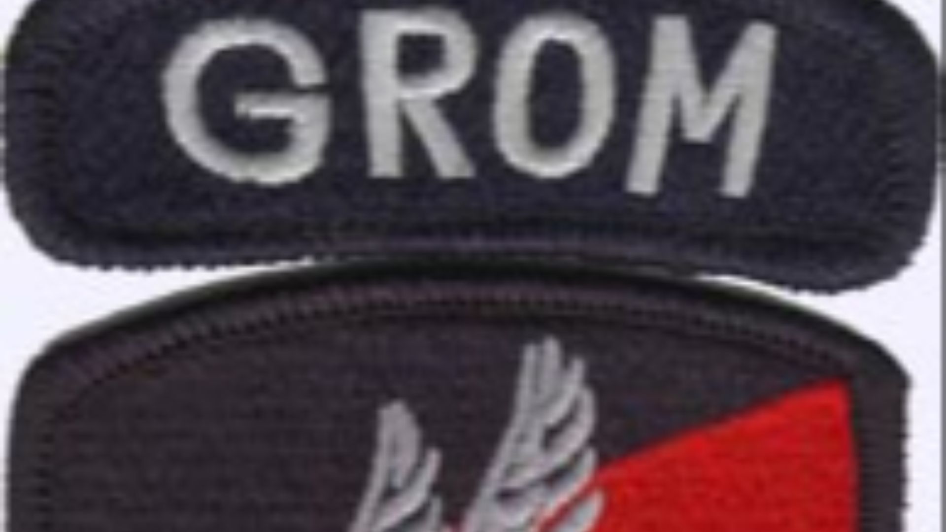 17. Polish GROM - Entraînement hybride de force et d'endurance