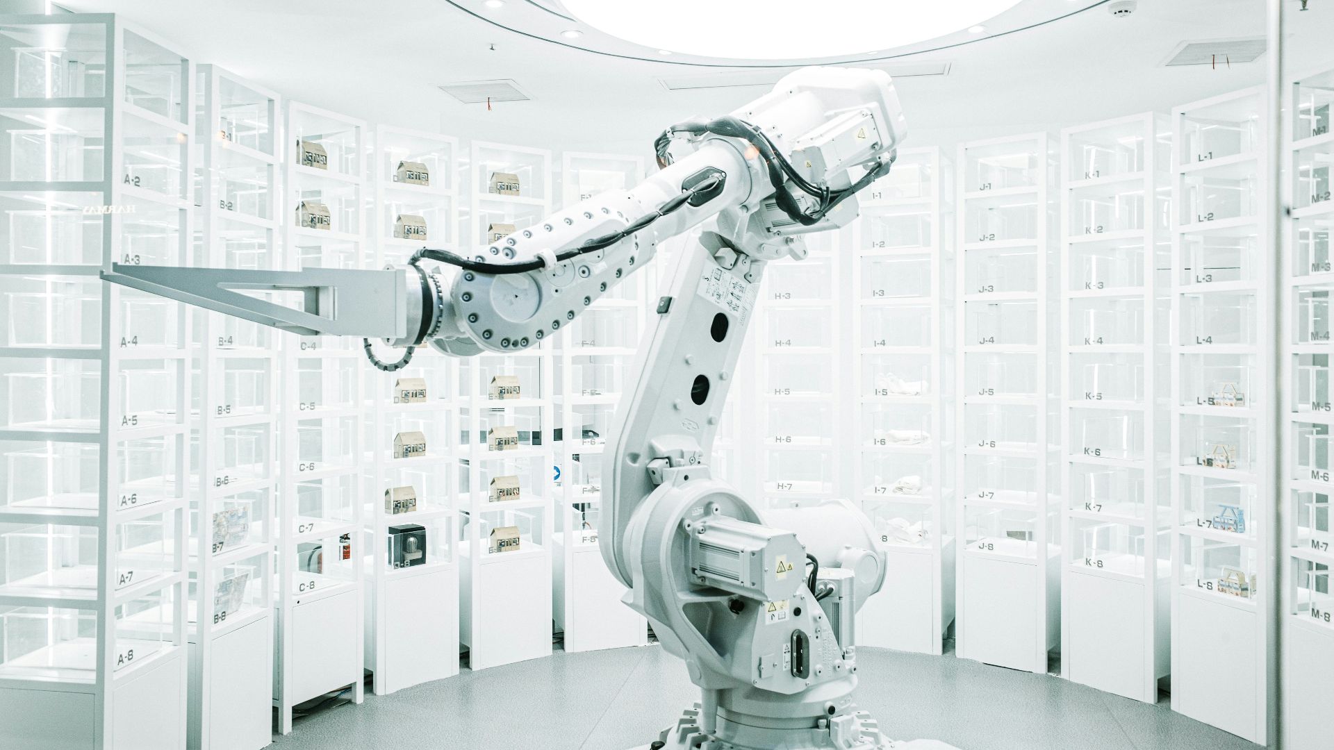 6. Bioinformatique