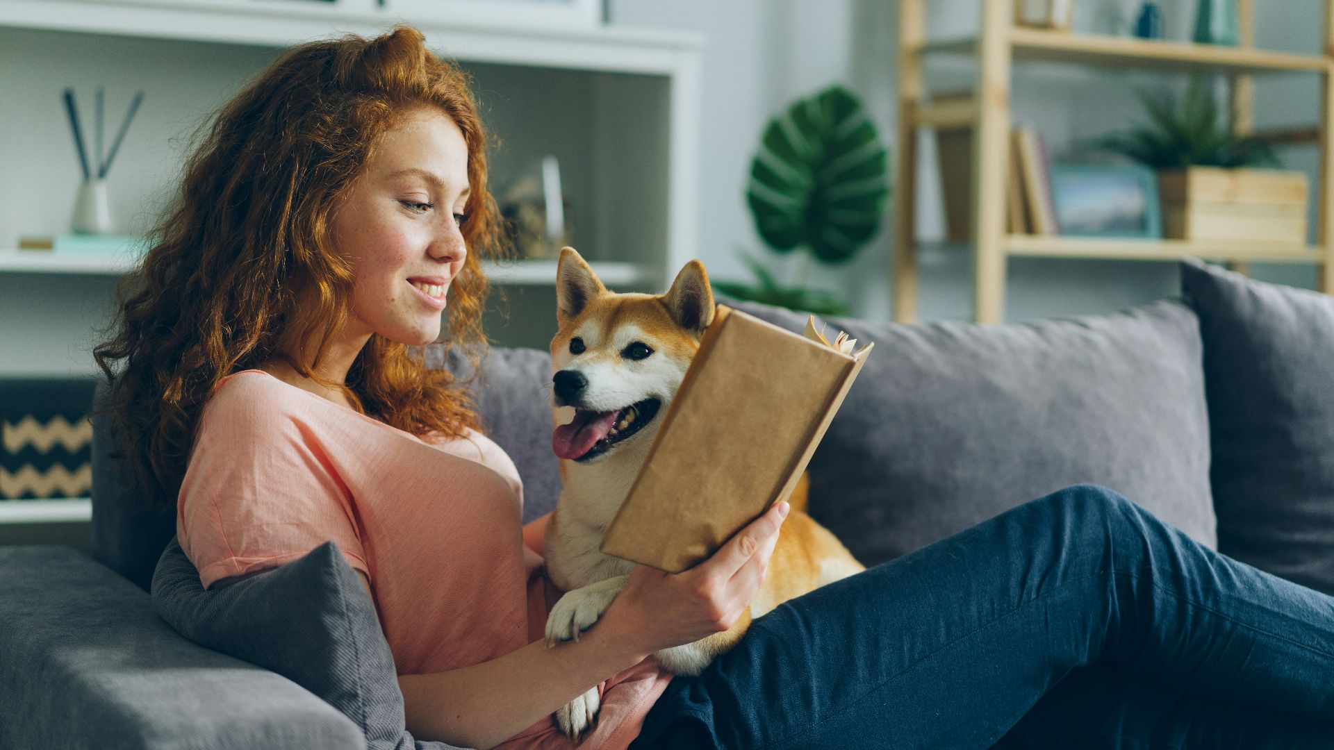 6. Partie latérale profonde