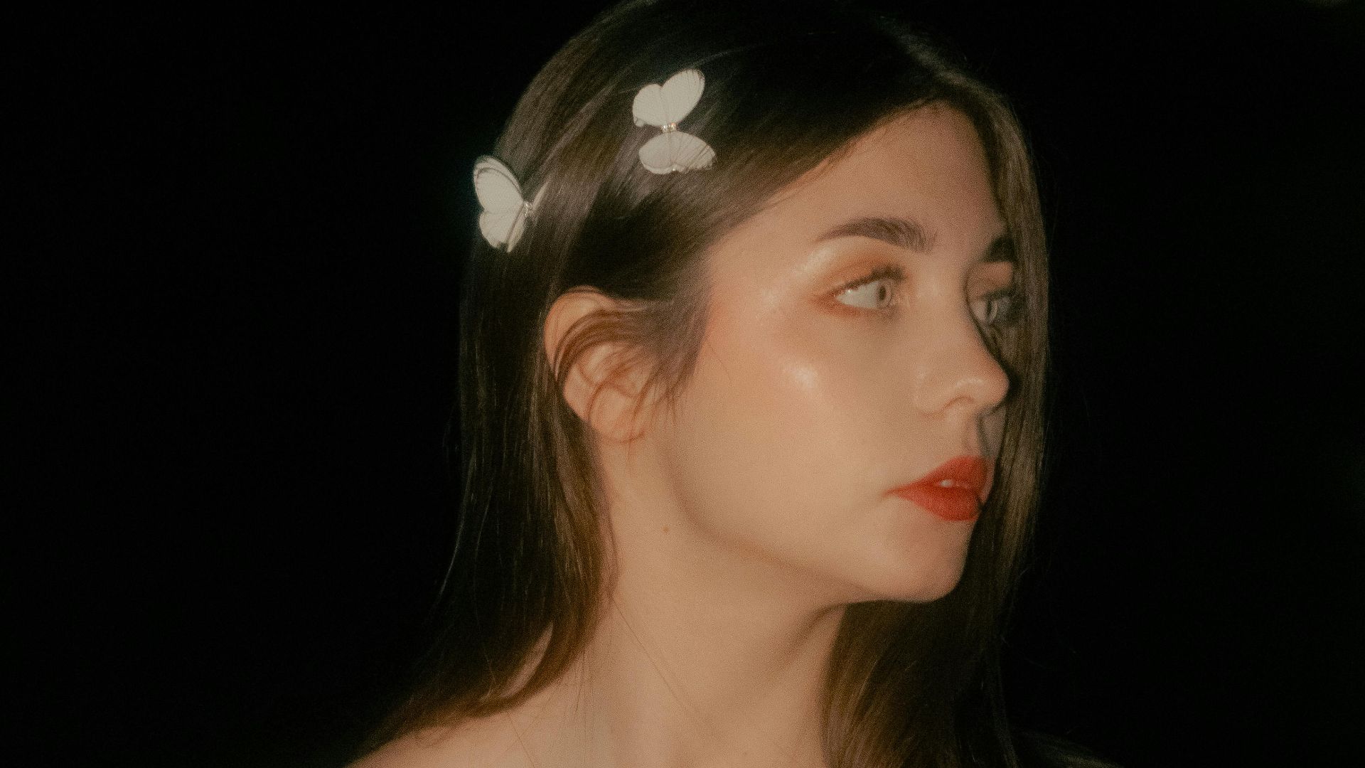 19. Clips de papillon