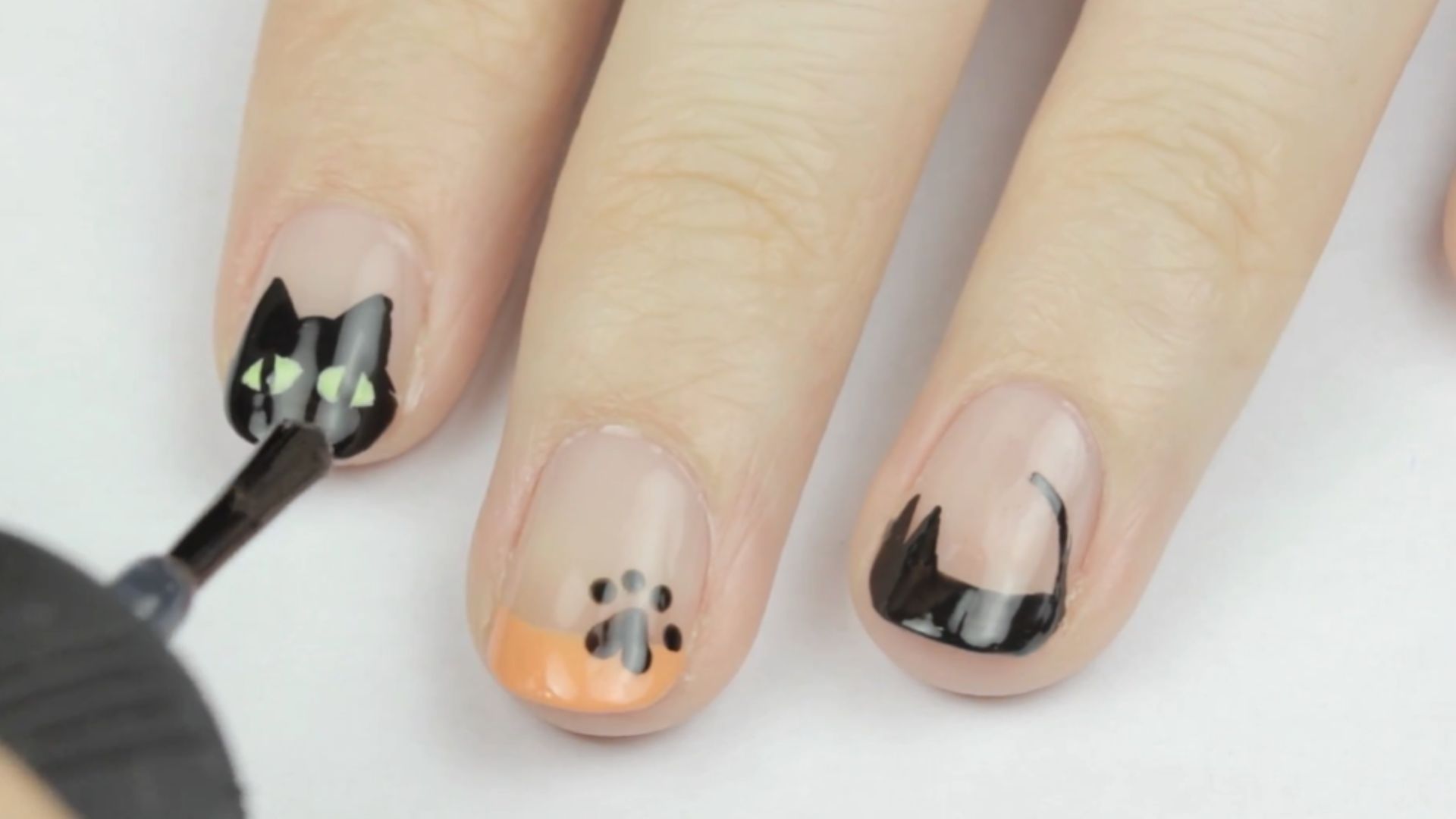 2. Silhouette de chat noir