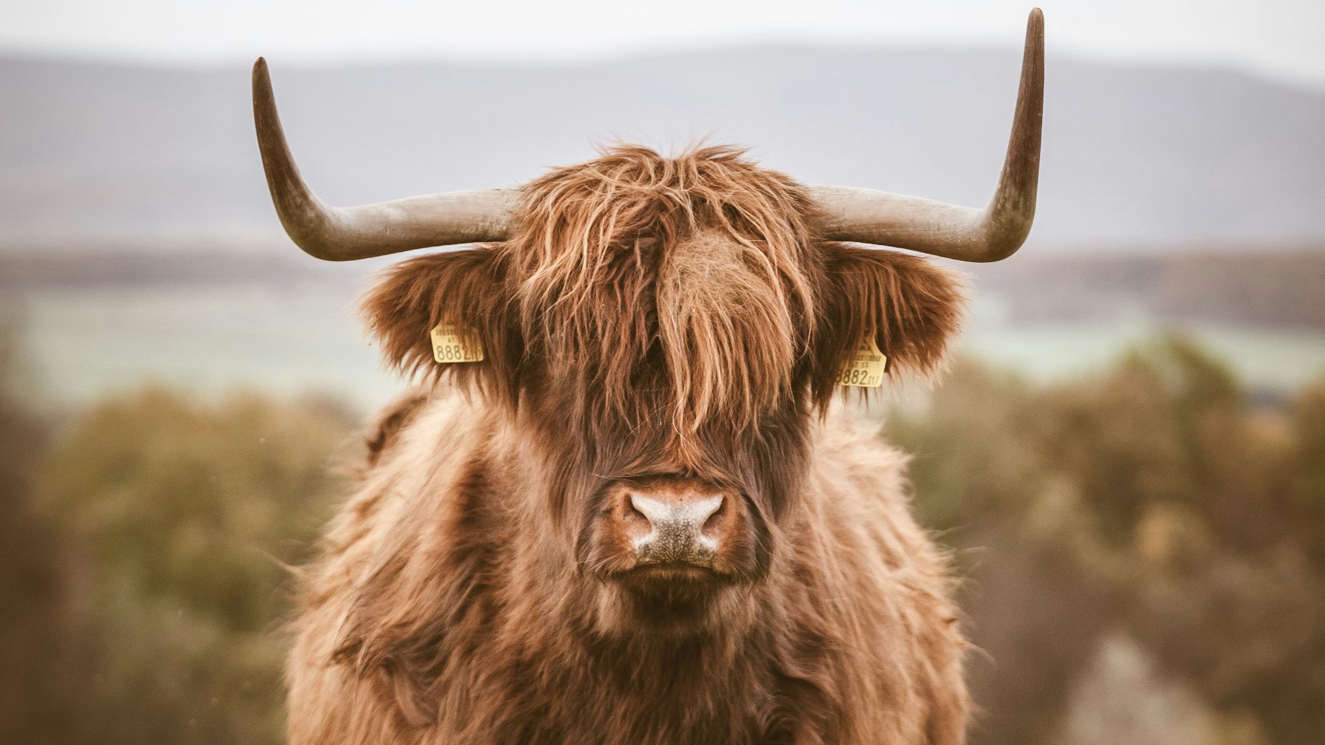 20 matériaux de vêtements les plus rares que vous ne porterez jamais