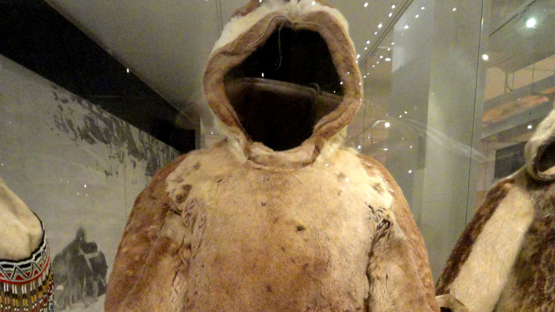 15. Fourrure de phoque