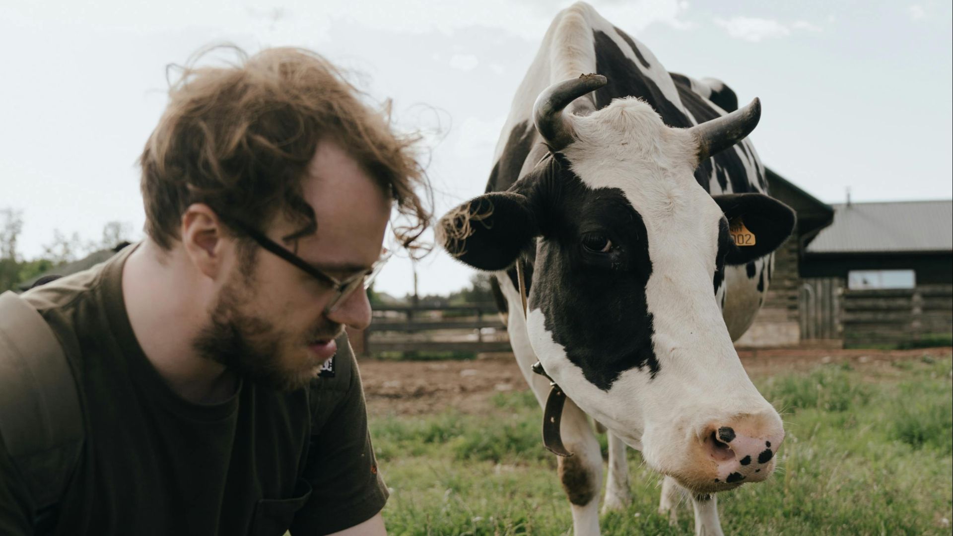 10. Agriculteur et vache