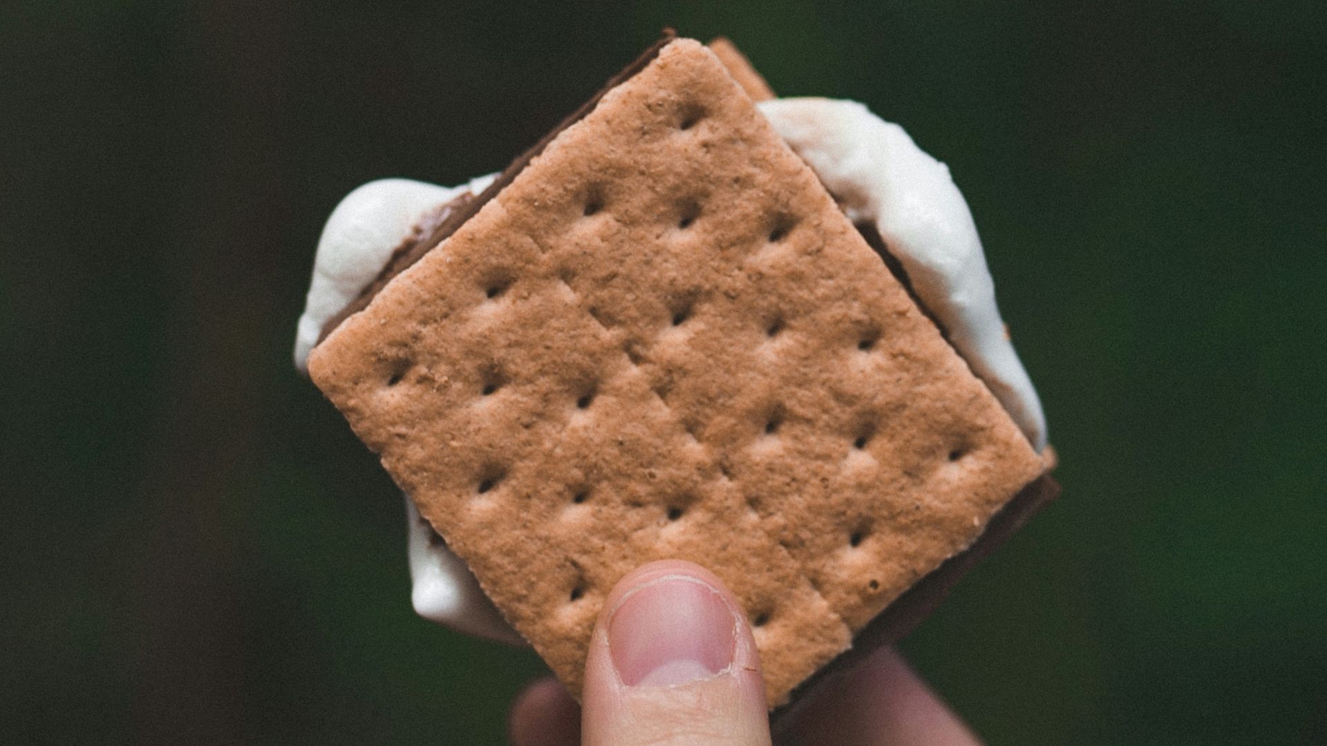 4. S'mores
