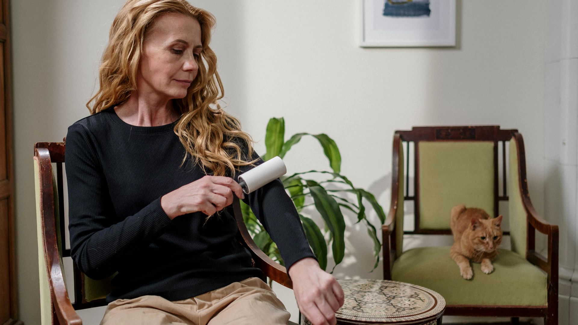 12. Brosser les peluches et les poils d'animaux