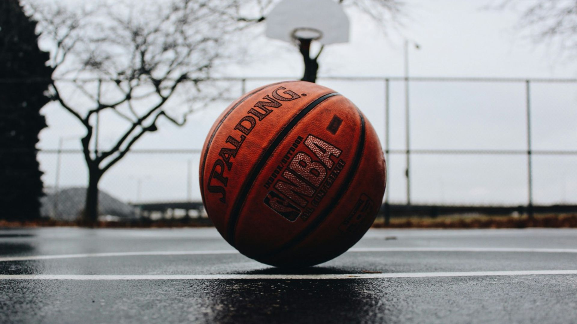 10. Basket-ball