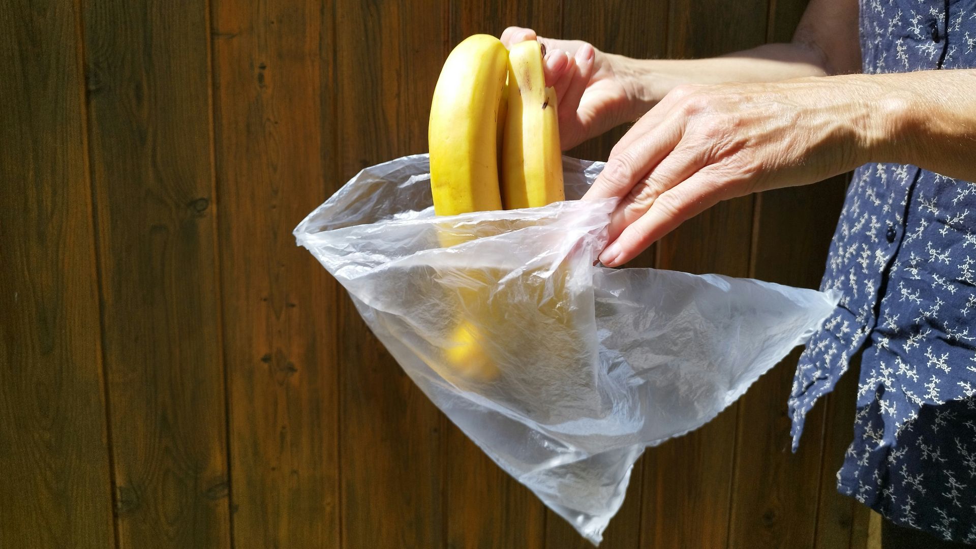 12. Sacs en plastique