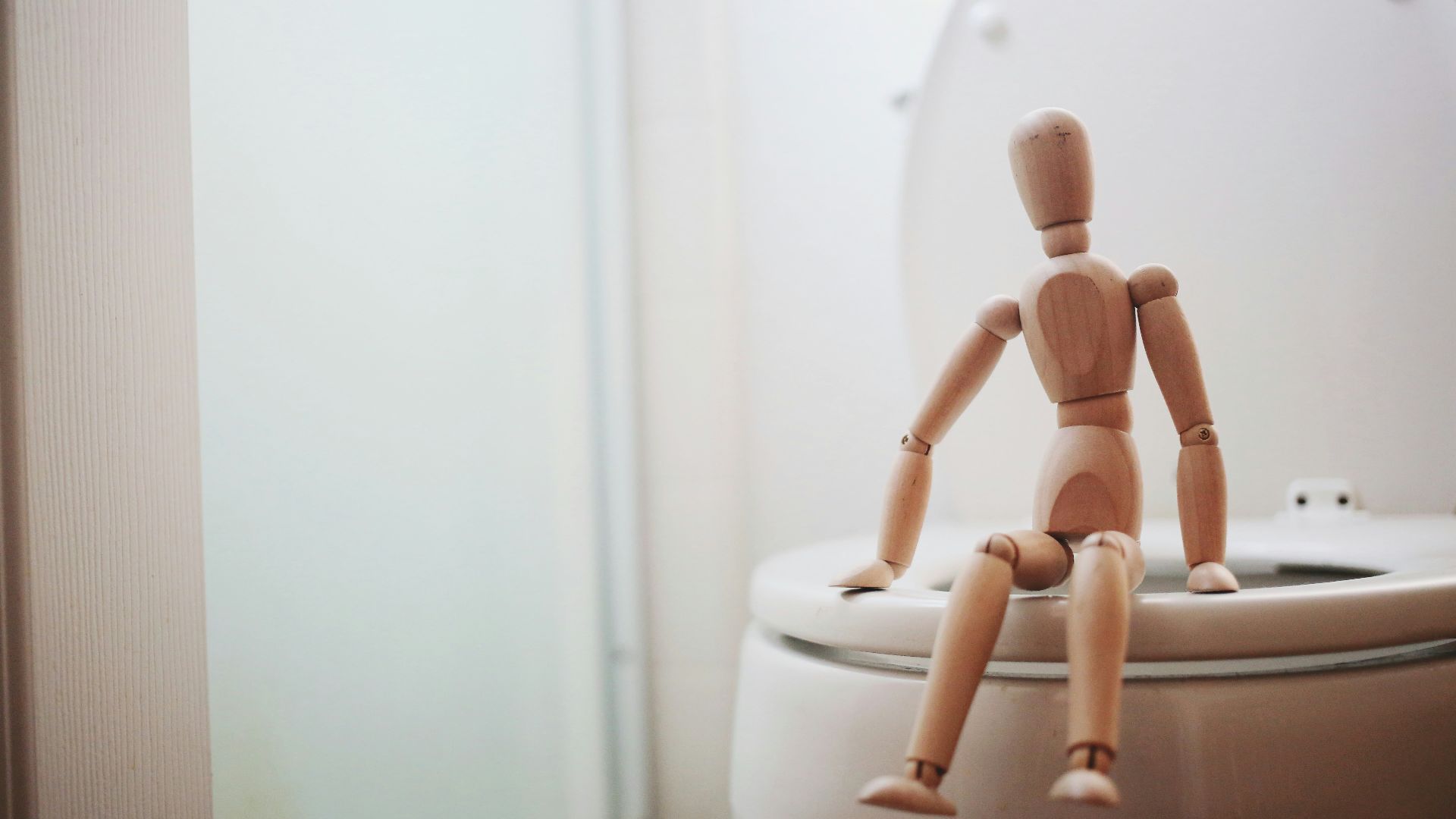 15. Les toilettes