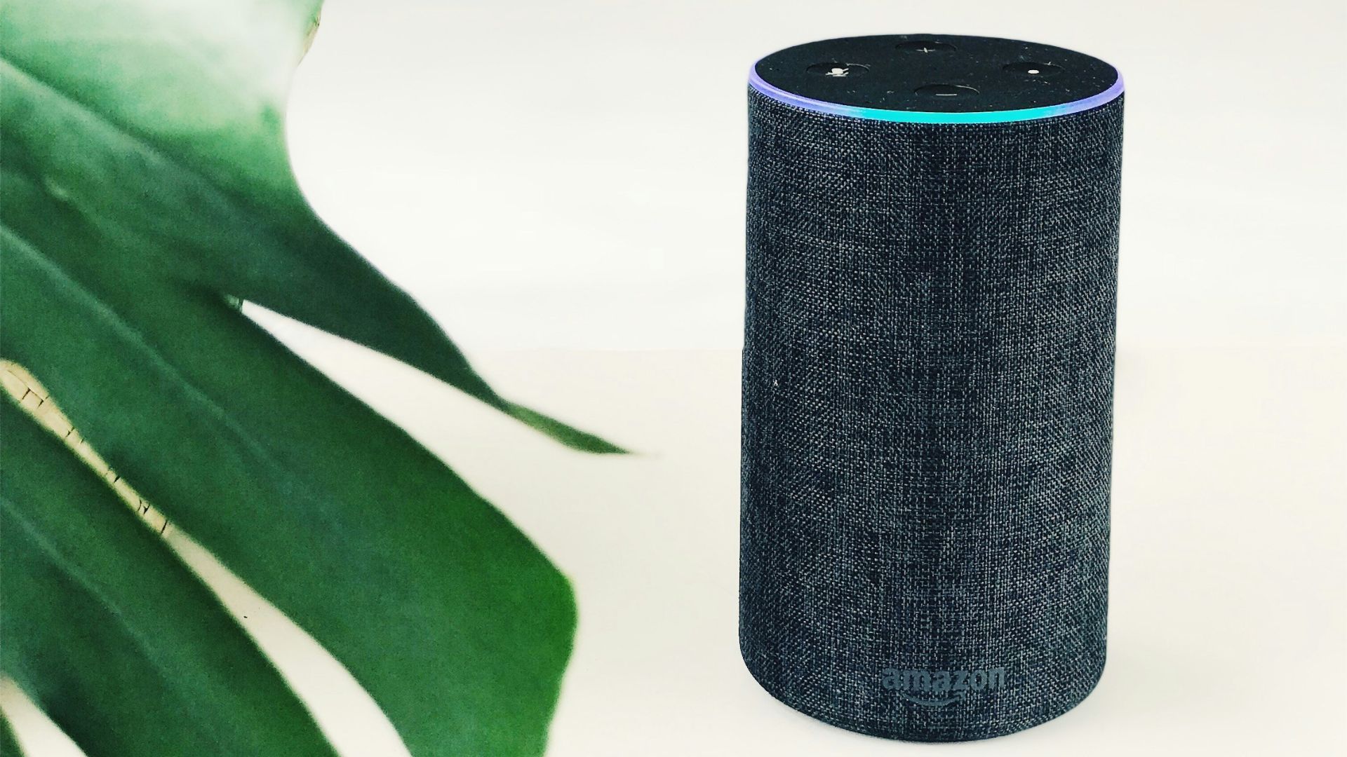 7. Alexa/Google/Etc.