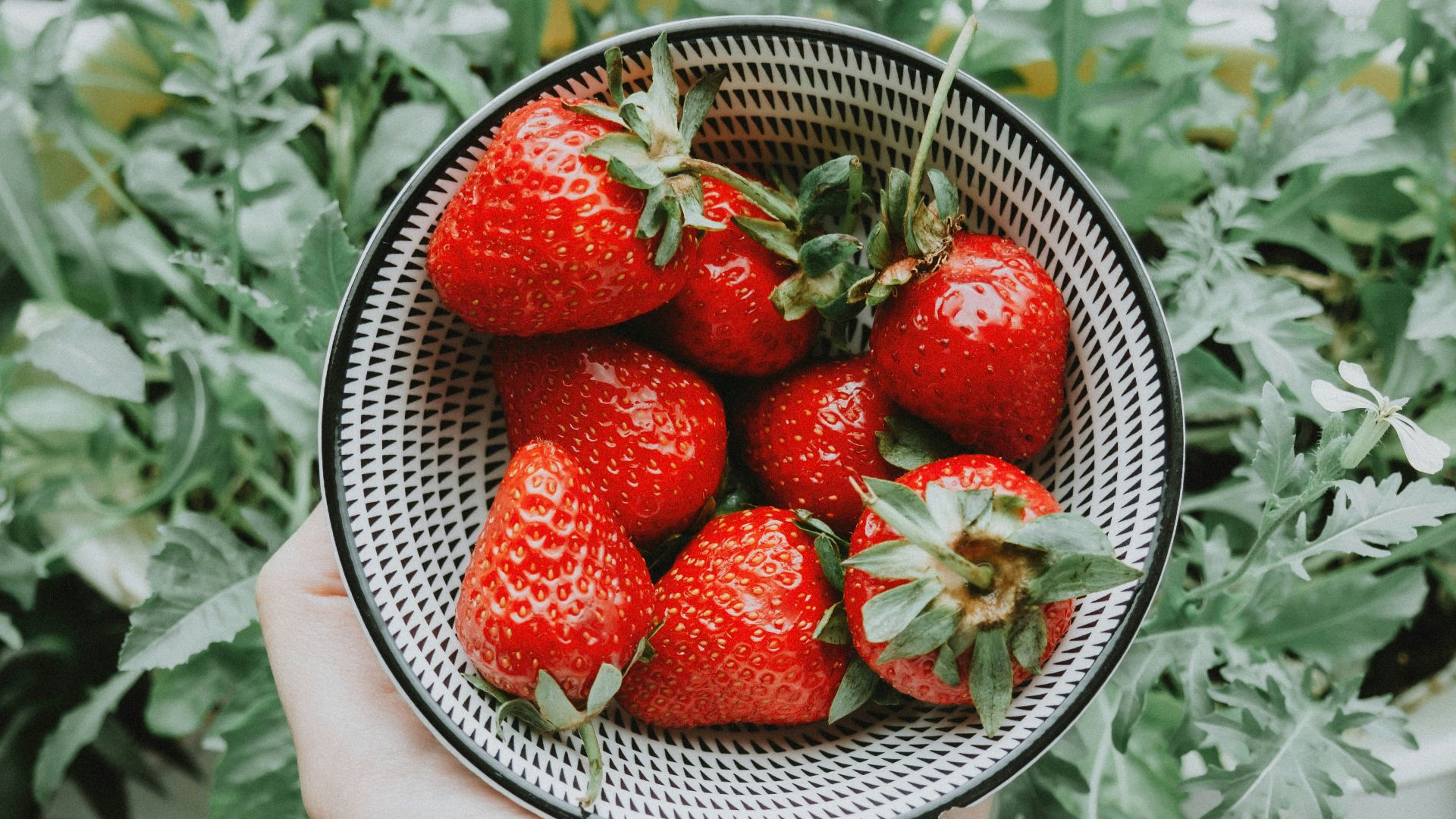 6. Les fruits et légumes restent frais plus longtemps
