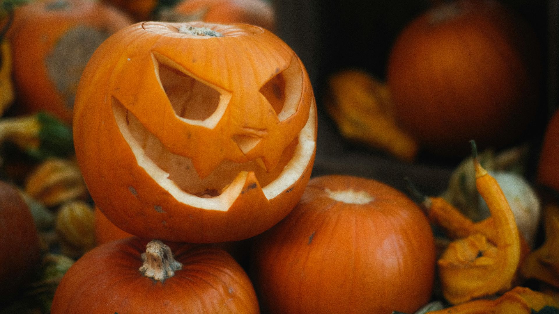 10. Sculpter des citrouilles
