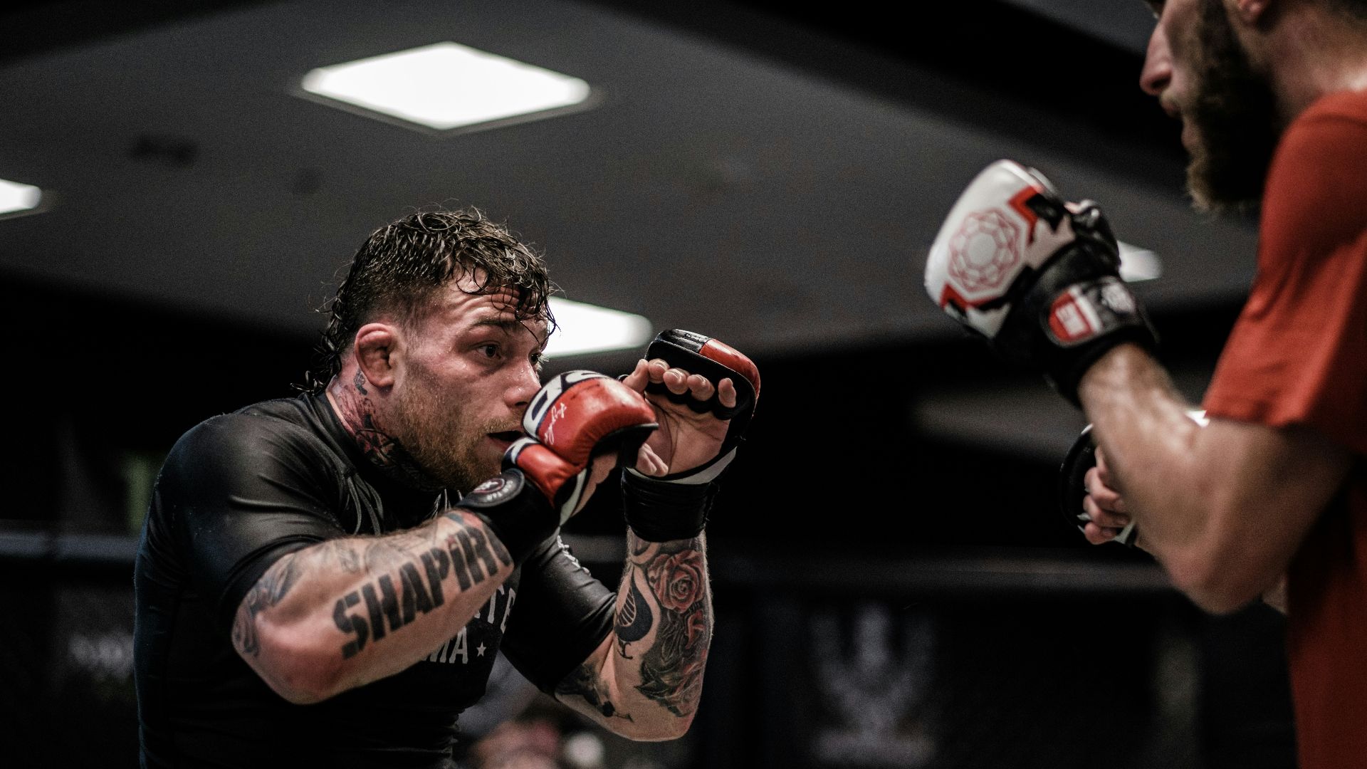 10. Arts martiaux mixtes (MMA)