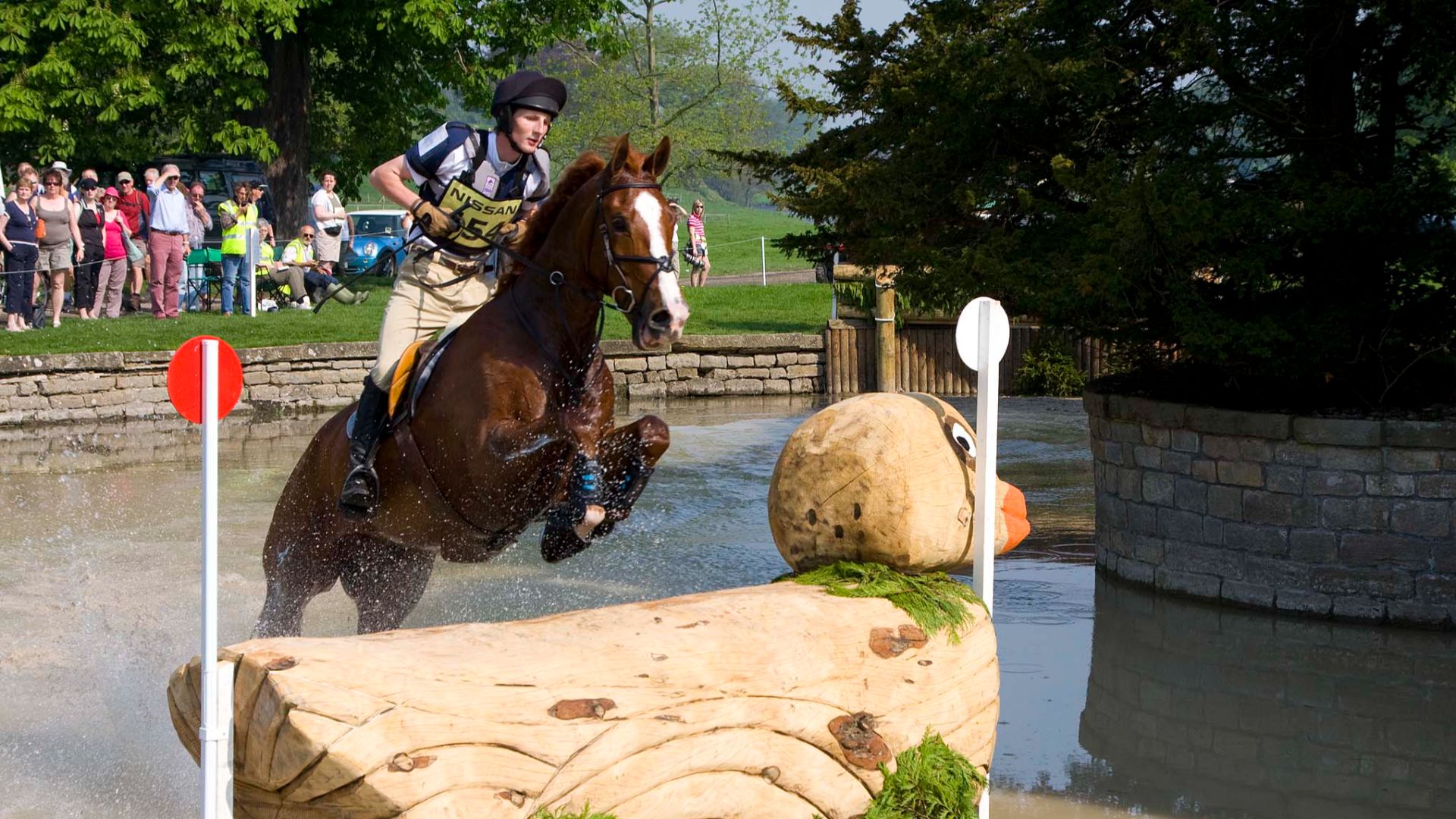 12. Équitation (concours complet et dressage)