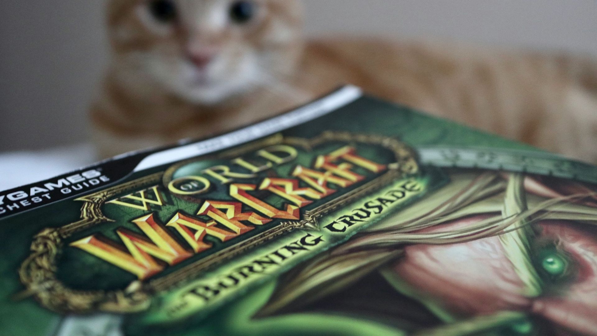 16. World of Warcraft