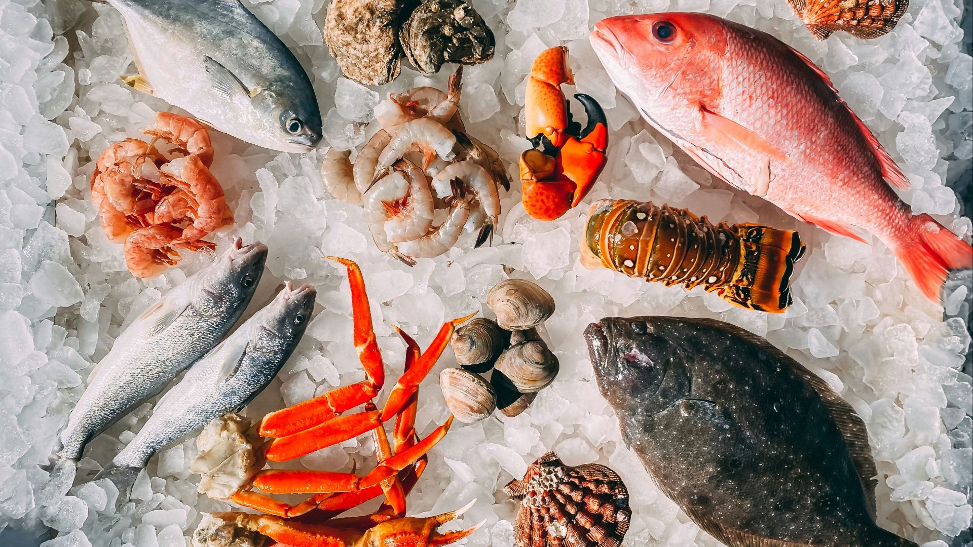 1. Fruits de mer